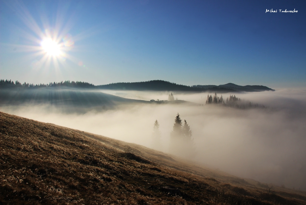 Sigma 18-250mm F3.5-6.3 DC OS HSM sample photo. Morning vibes photography