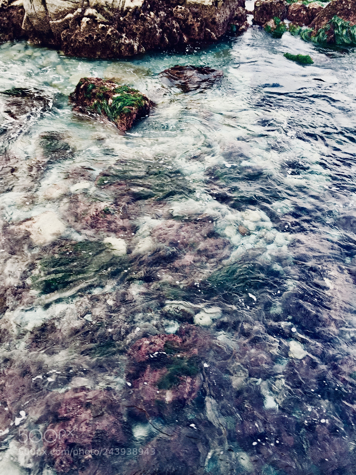 Apple iPhone 6 sample photo. Untitled photography