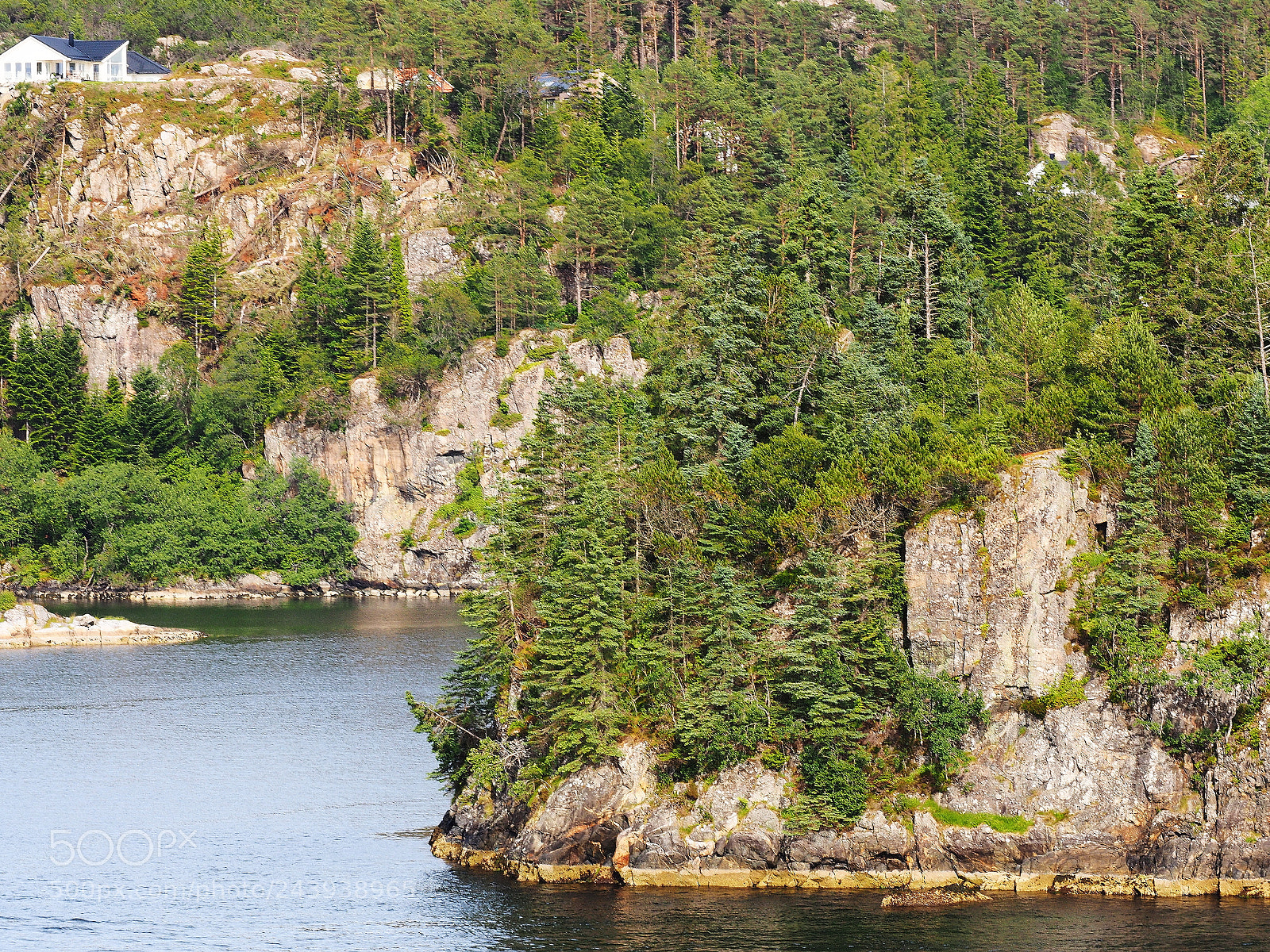 Olympus OM-D E-M1 sample photo. The shoreline outside bergen photography