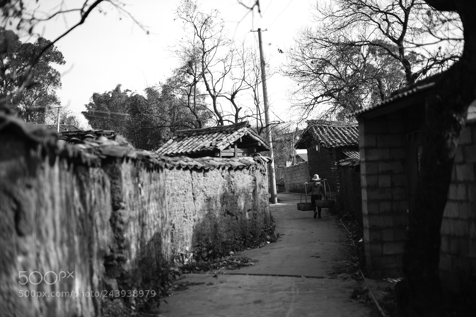 Leica M9 sample photo. Untitled photography