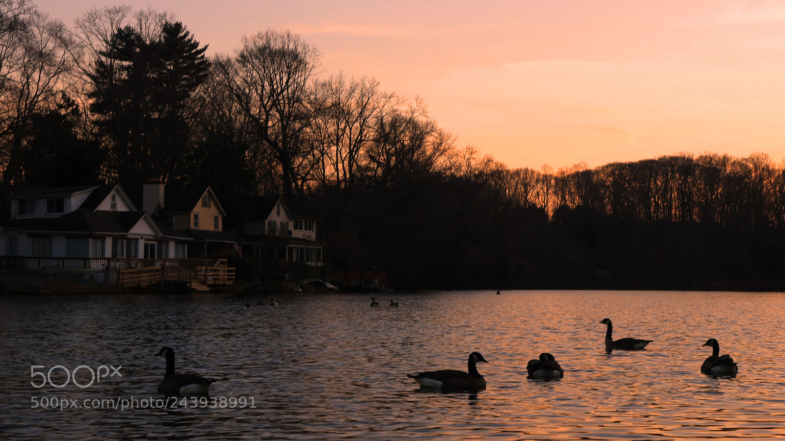 Canon EOS 750D (EOS Rebel T6i / EOS Kiss X8i) sample photo. Sunset on the ducks photography