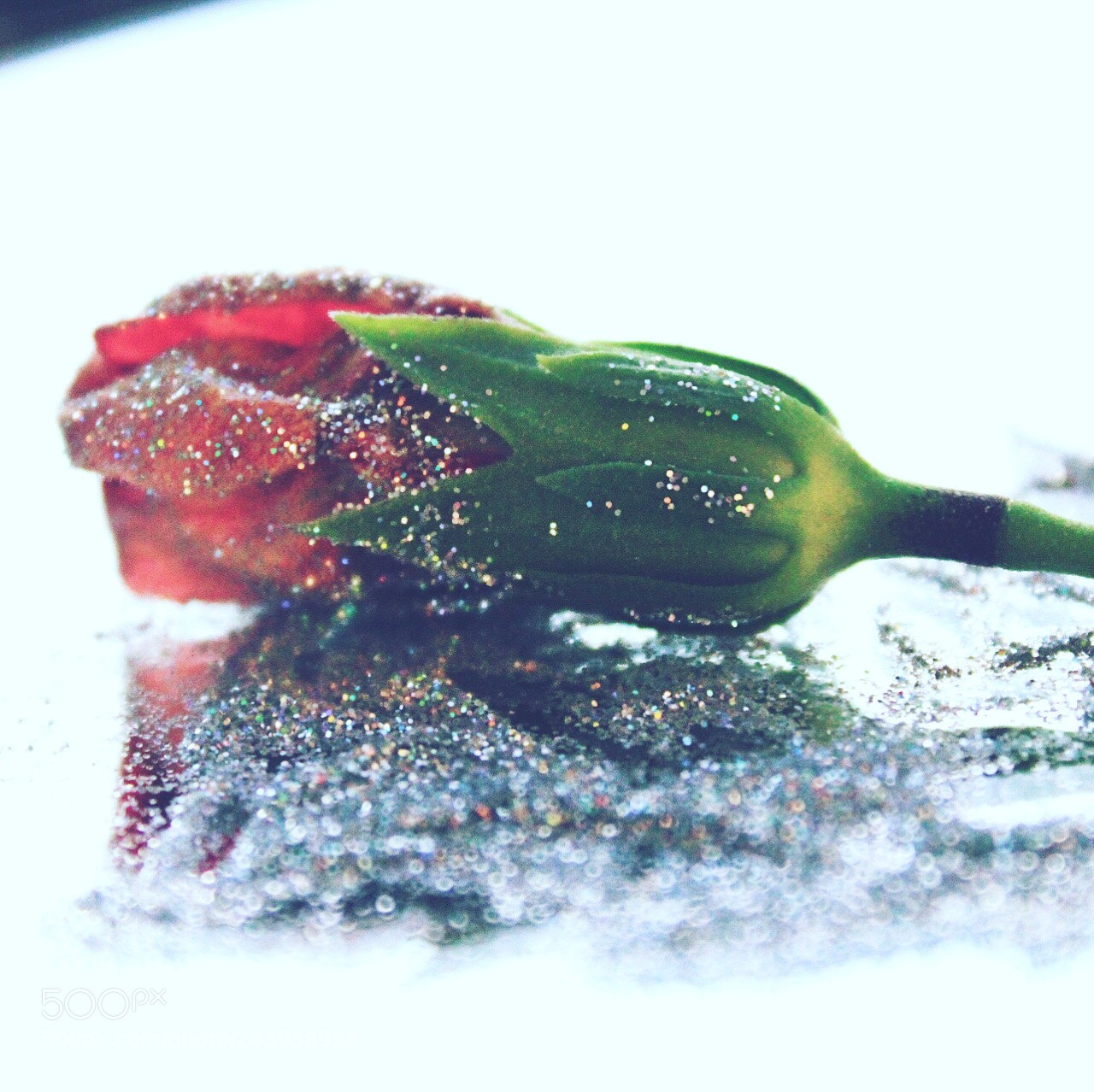 Canon EOS 1300D (EOS Rebel T6 / EOS Kiss X80) sample photo. She found beauty in photography
