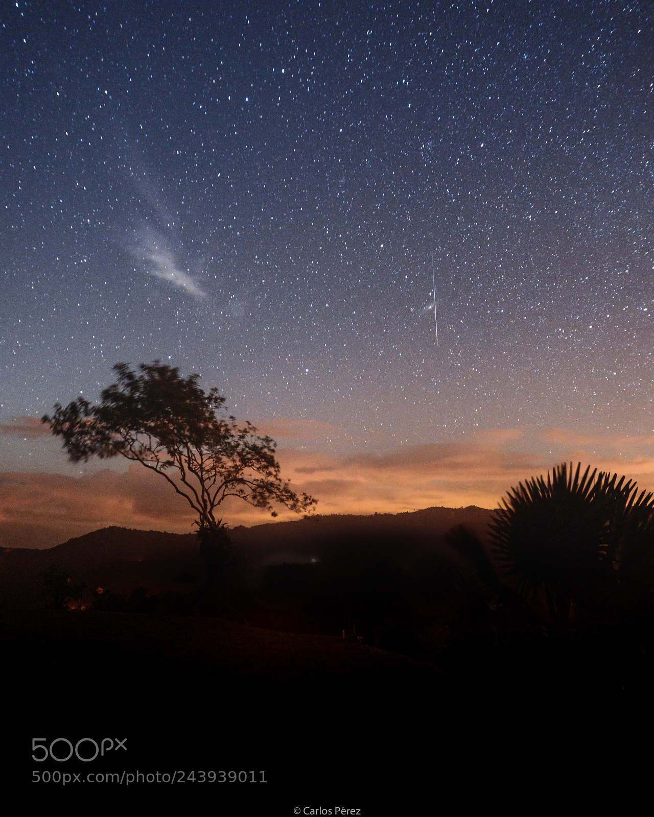 Nikon D610 sample photo. Make a wish... photography