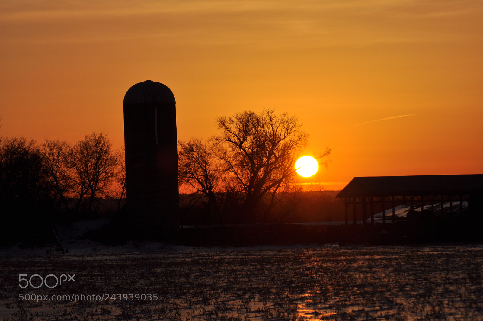 Nikon D5000 sample photo. Chilly sunset: photography