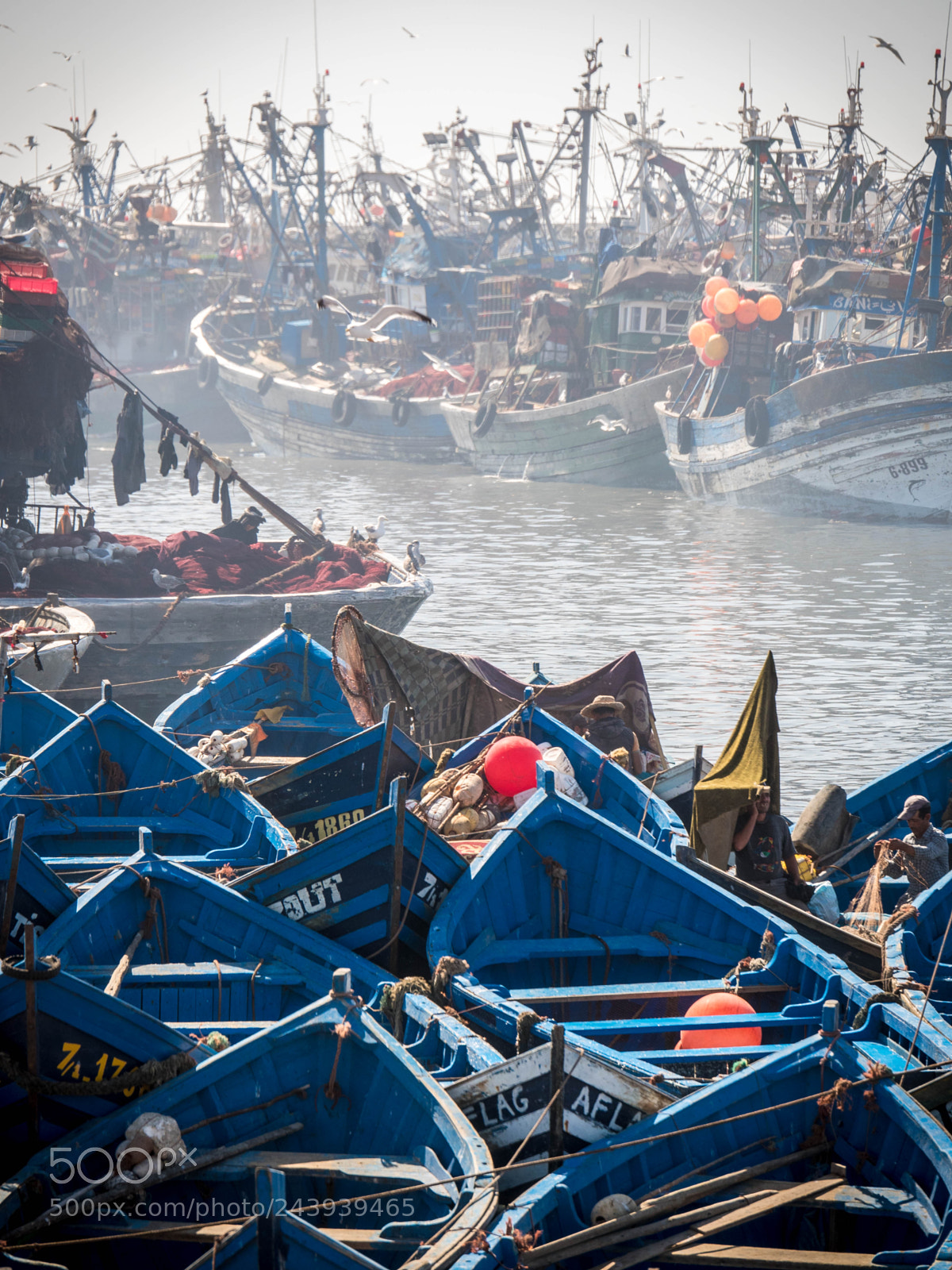 Olympus OM-D E-M5 II sample photo. Fishing boats photography