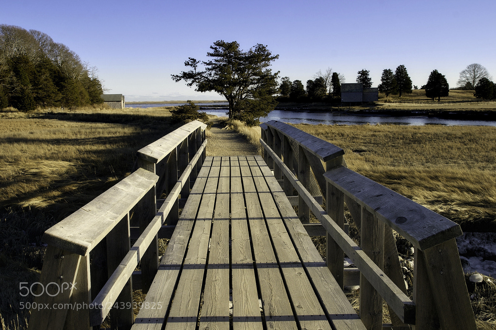 Canon EOS 10D sample photo. Footpath photography