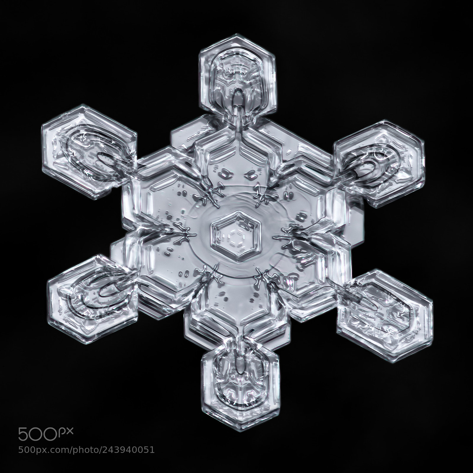 Canon EOS-1D X Mark II sample photo. Snowflake-a-day no. 41 photography