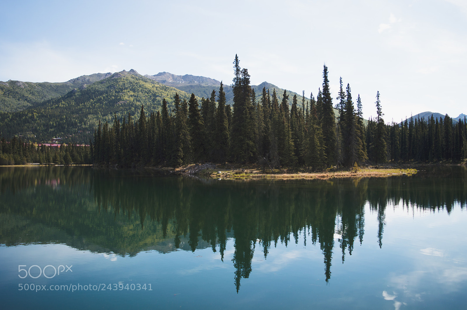 Nikon D3200 sample photo. Reflections photography
