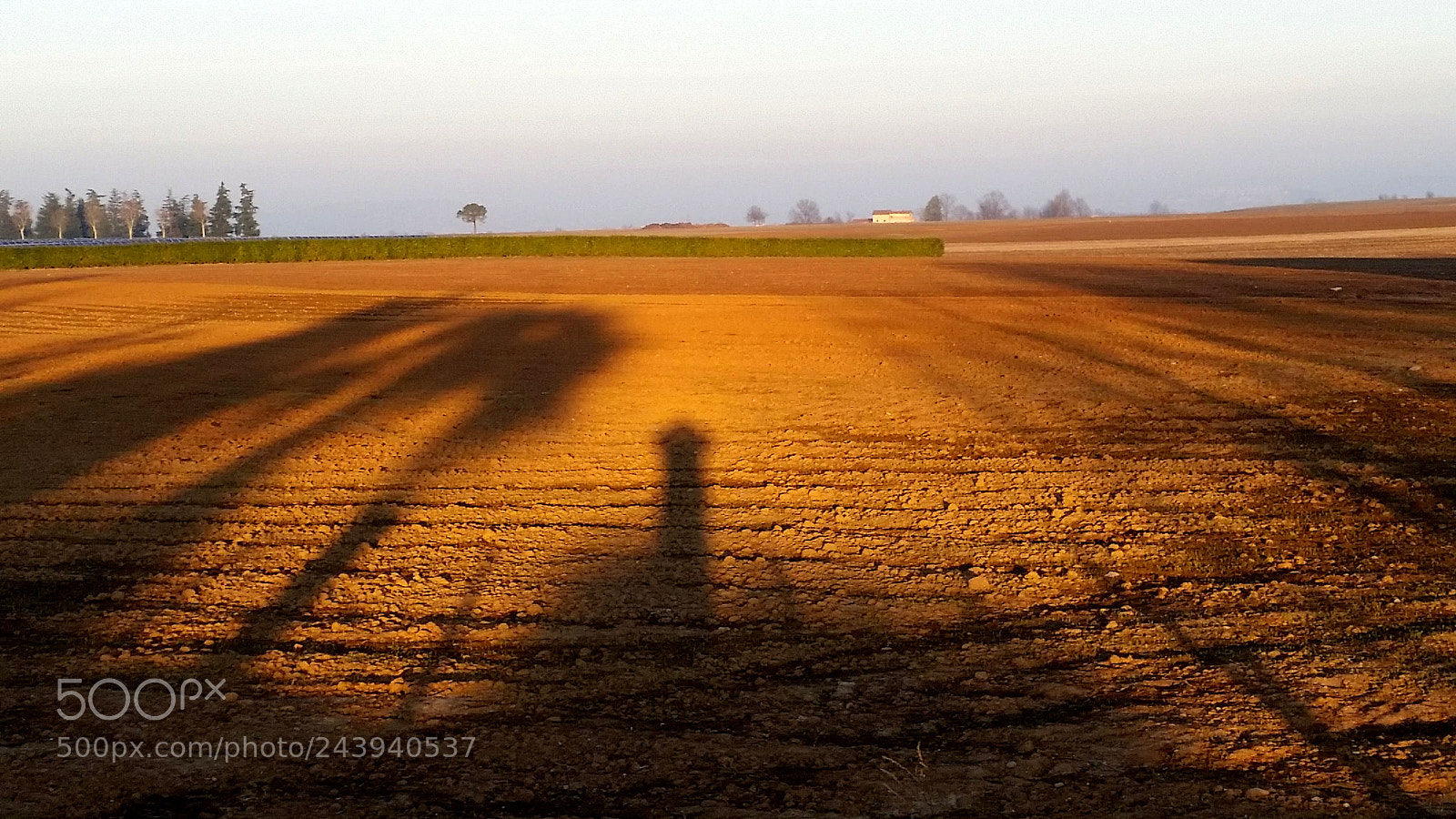 Samsung Galaxy S5 sample photo. Luce quasi parallela photography