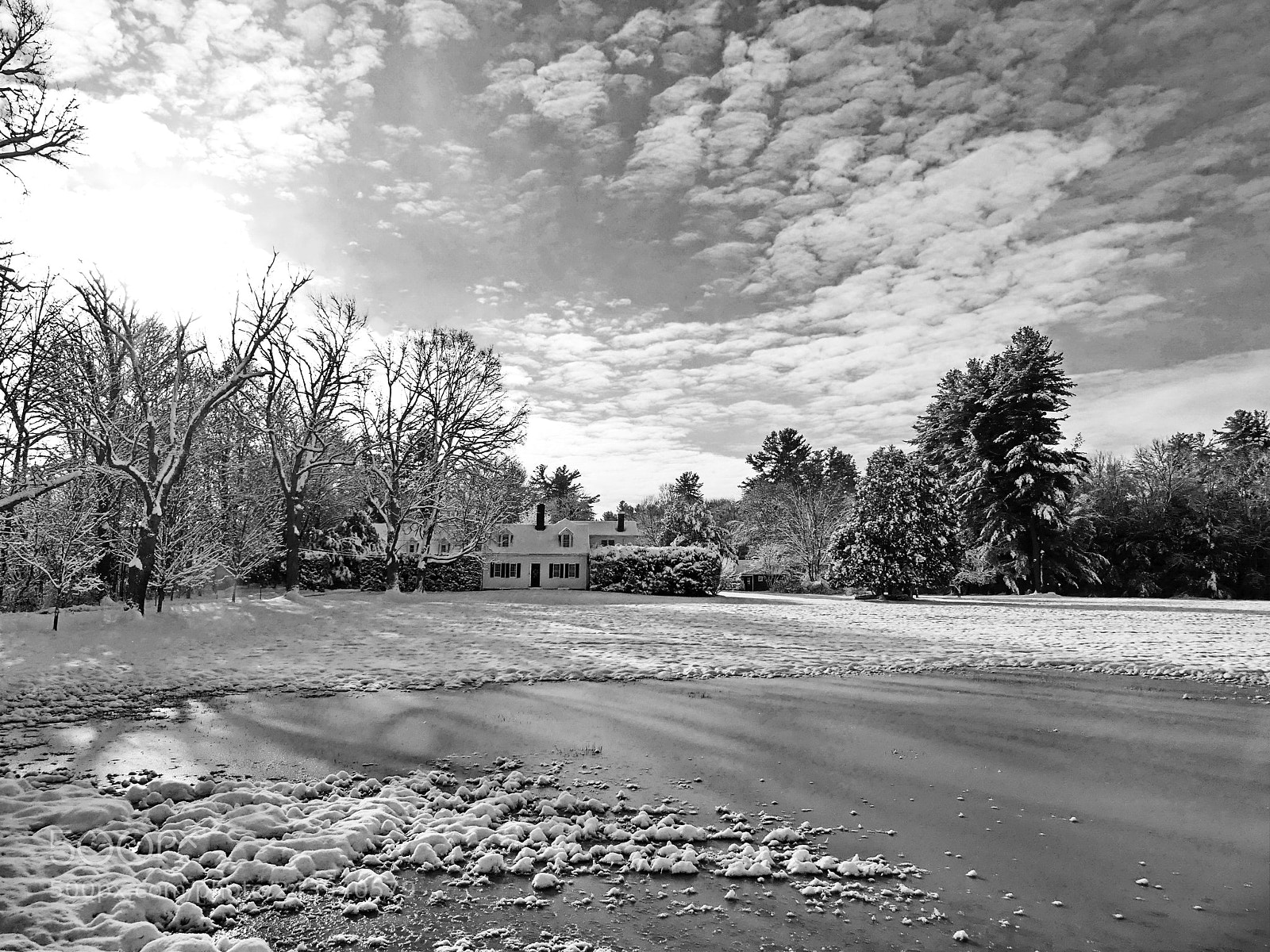 Panasonic Lumix DMC-FZ300 sample photo. Black & white winter photography