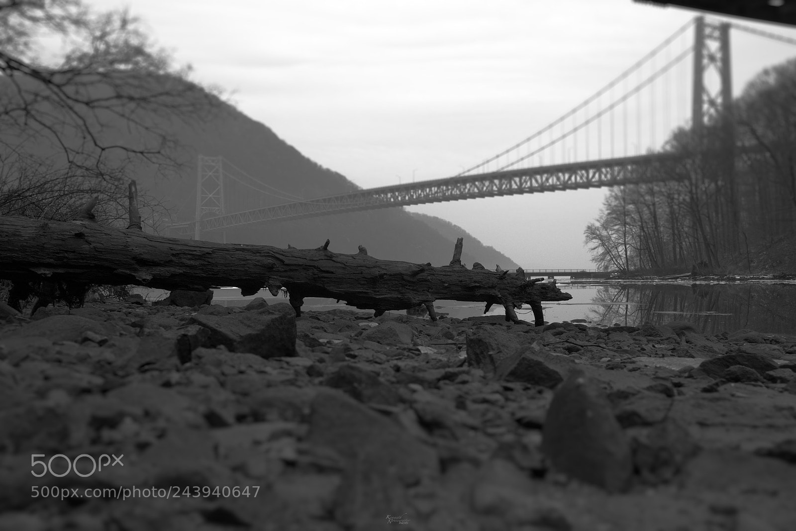 Canon EOS M5 sample photo. Washed up log photography