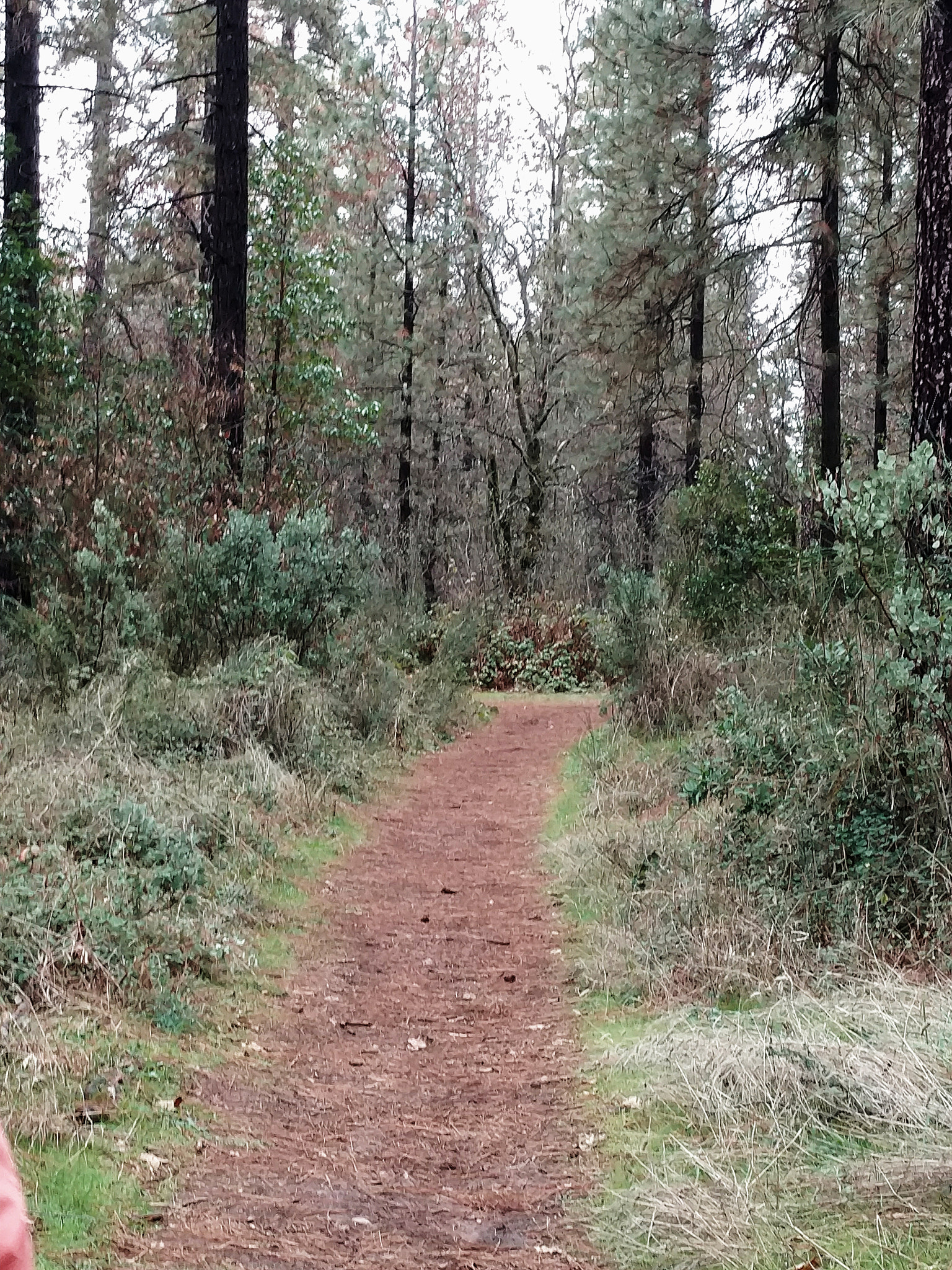 Motorola DROID Turbo 2 sample photo