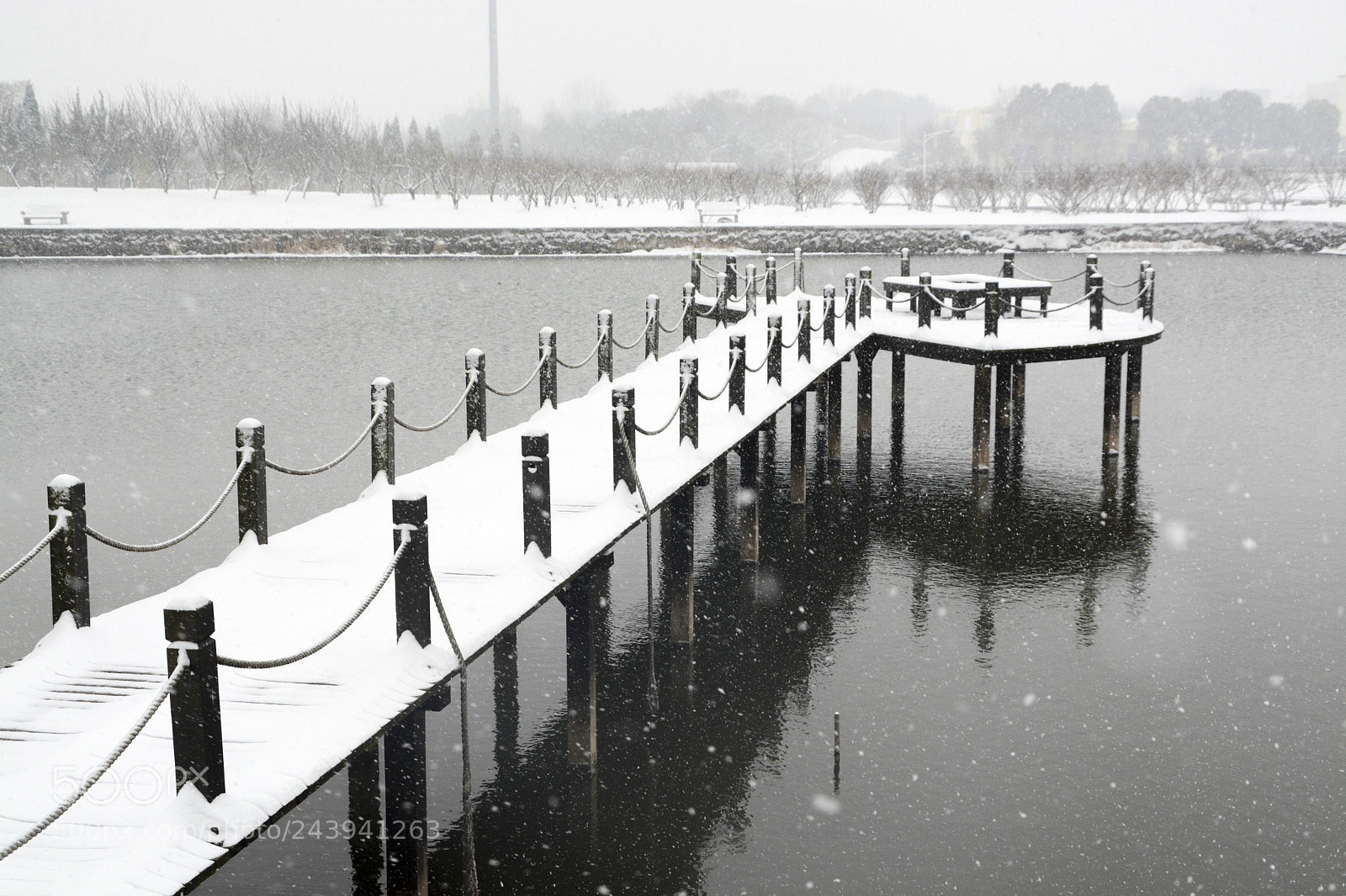 Nikon D7100 sample photo. Untitled photography