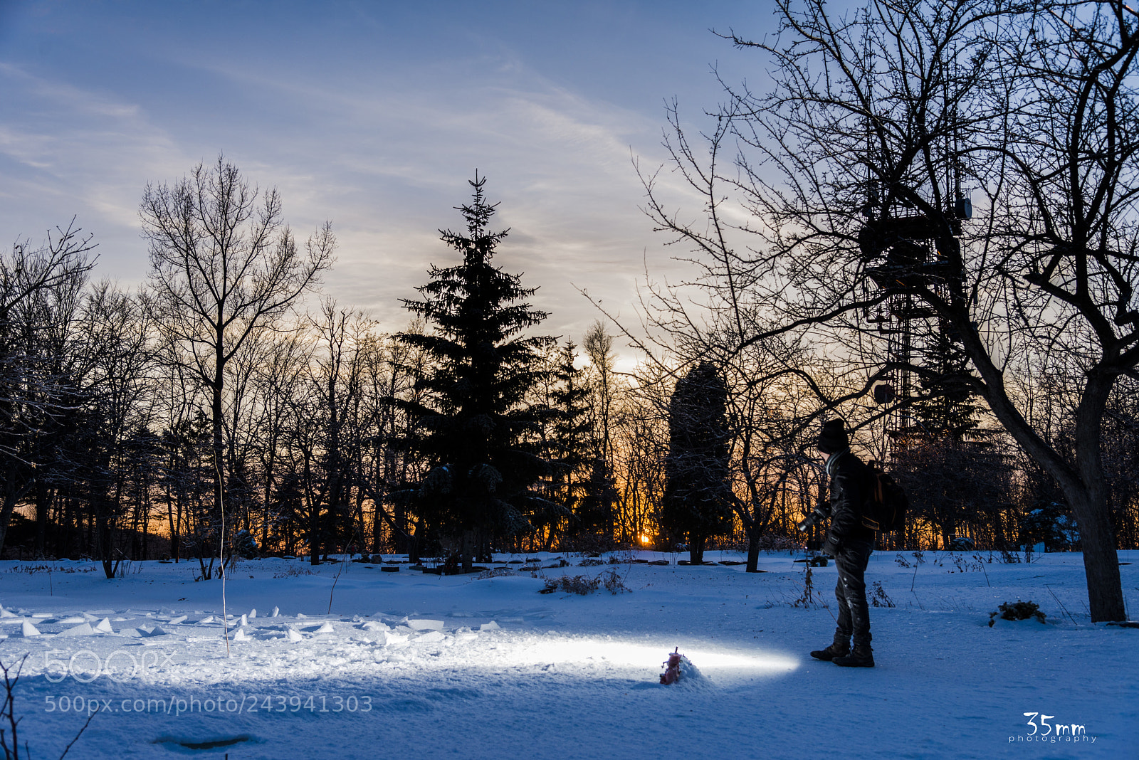 Nikon D610 sample photo. Mont royal photography
