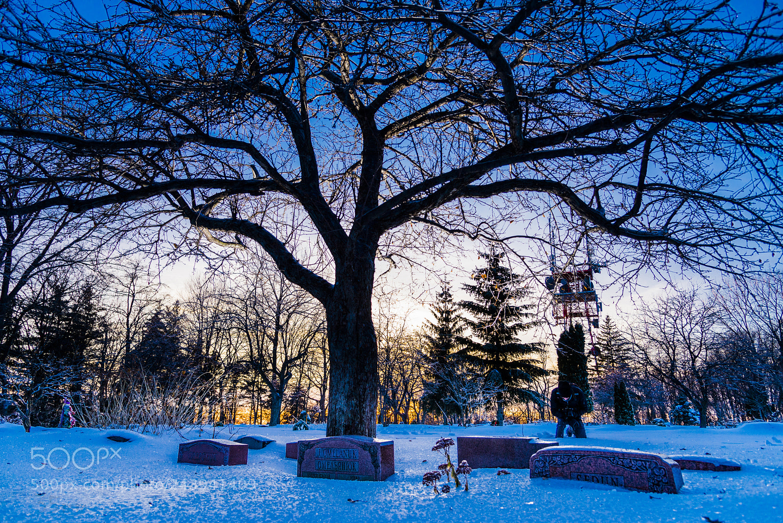 Nikon D610 sample photo. Tombs photography