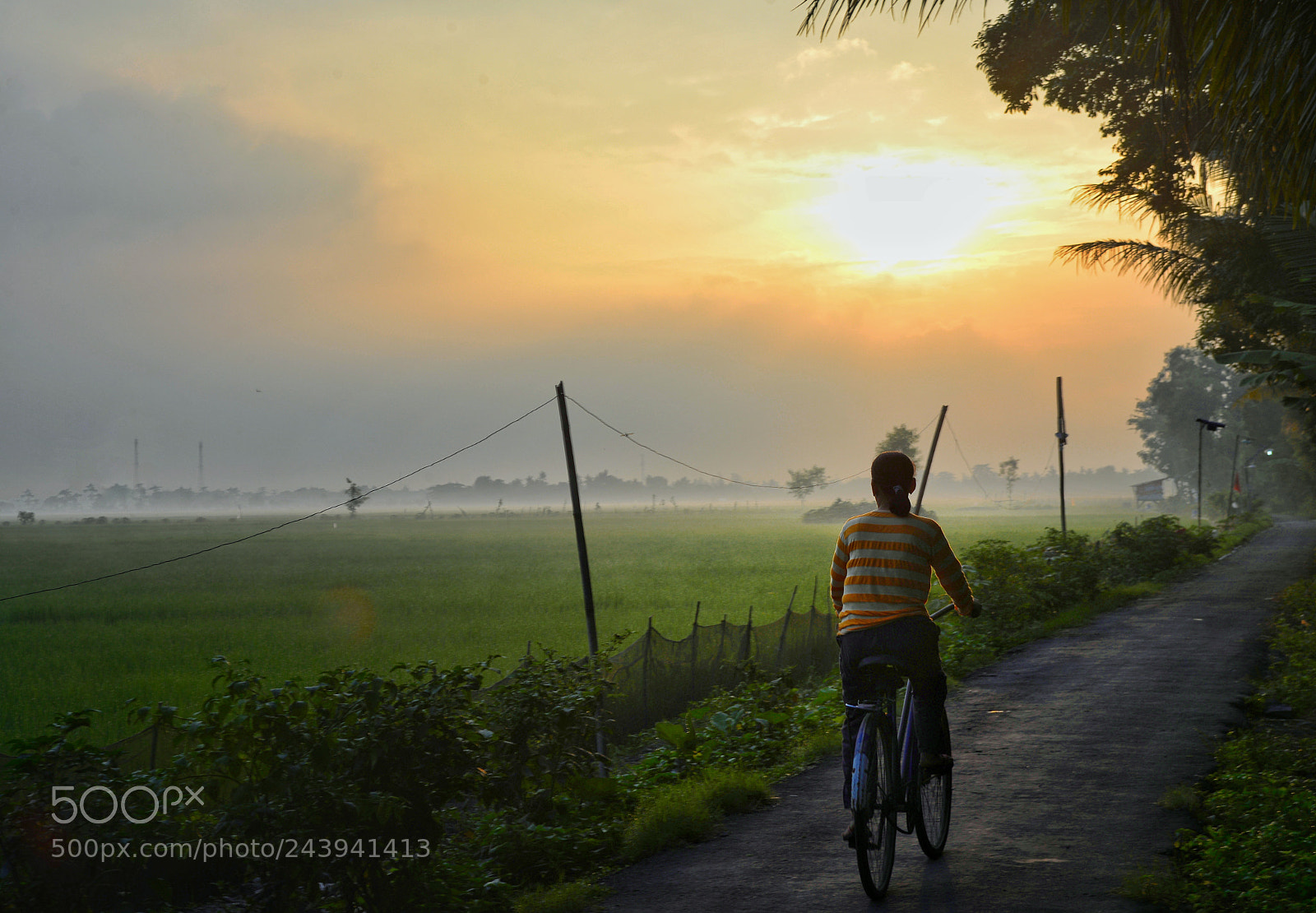Nikon D610 sample photo. Morning glory photography