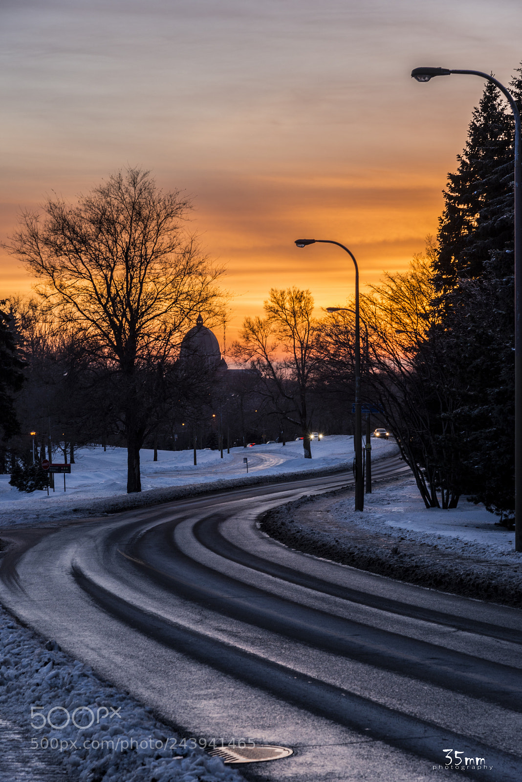 Nikon D610 sample photo. Mont royal photography