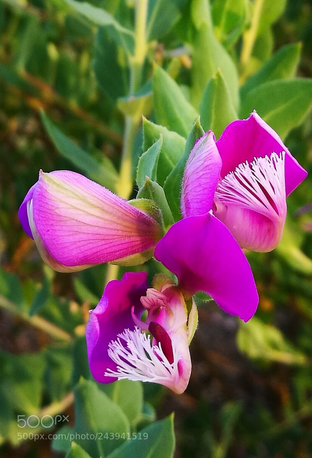 HUAWEI P9 sample photo. Untitled photography