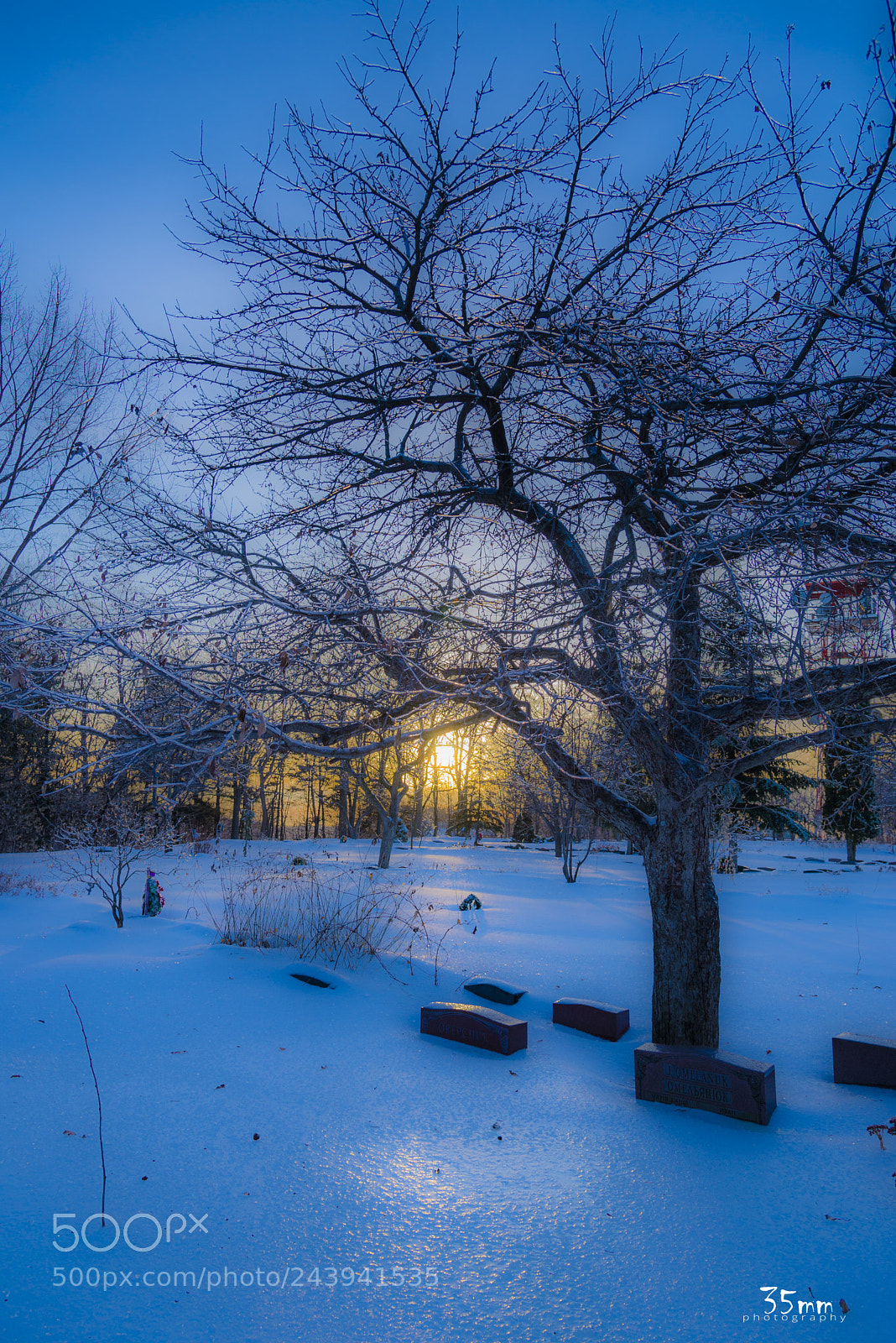 Nikon D610 sample photo. Winter photography