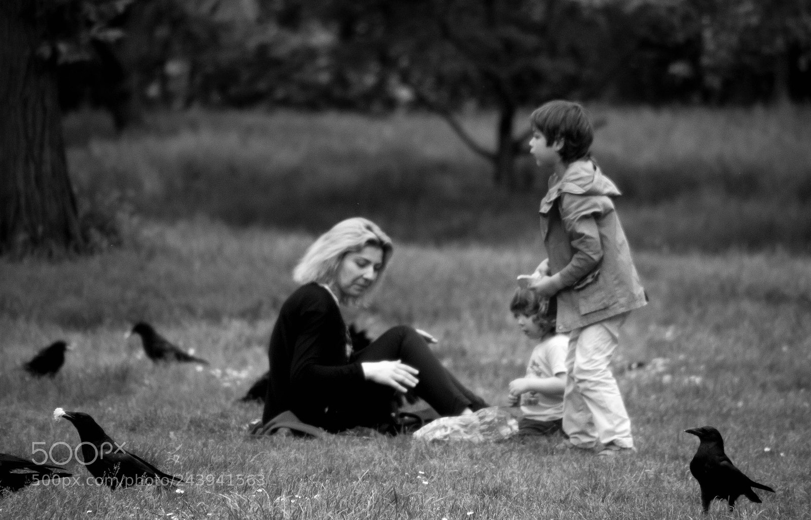Canon EOS 550D (EOS Rebel T2i / EOS Kiss X4) sample photo. The picnic photography
