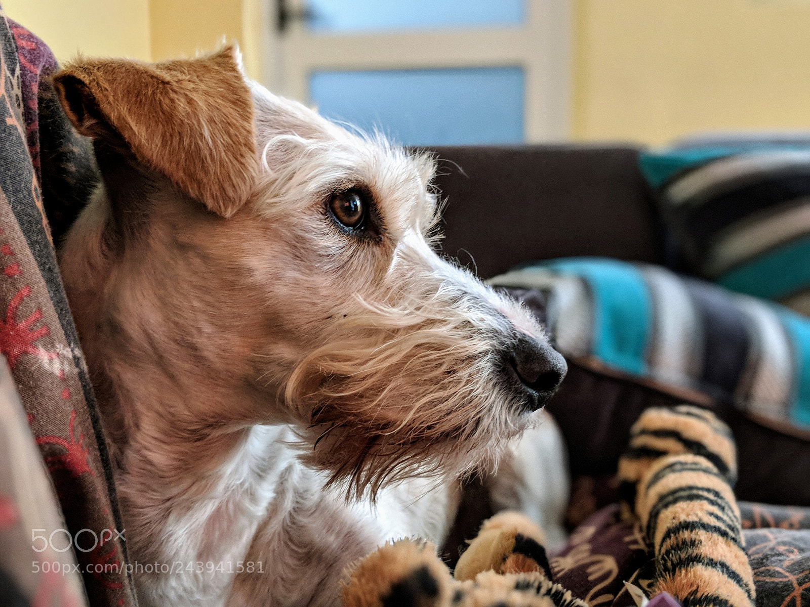 Google Pixel 2 XL sample photo. Nela photography
