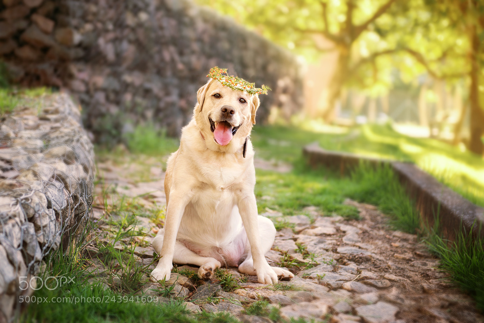 Nikon D610 sample photo. Mel photography