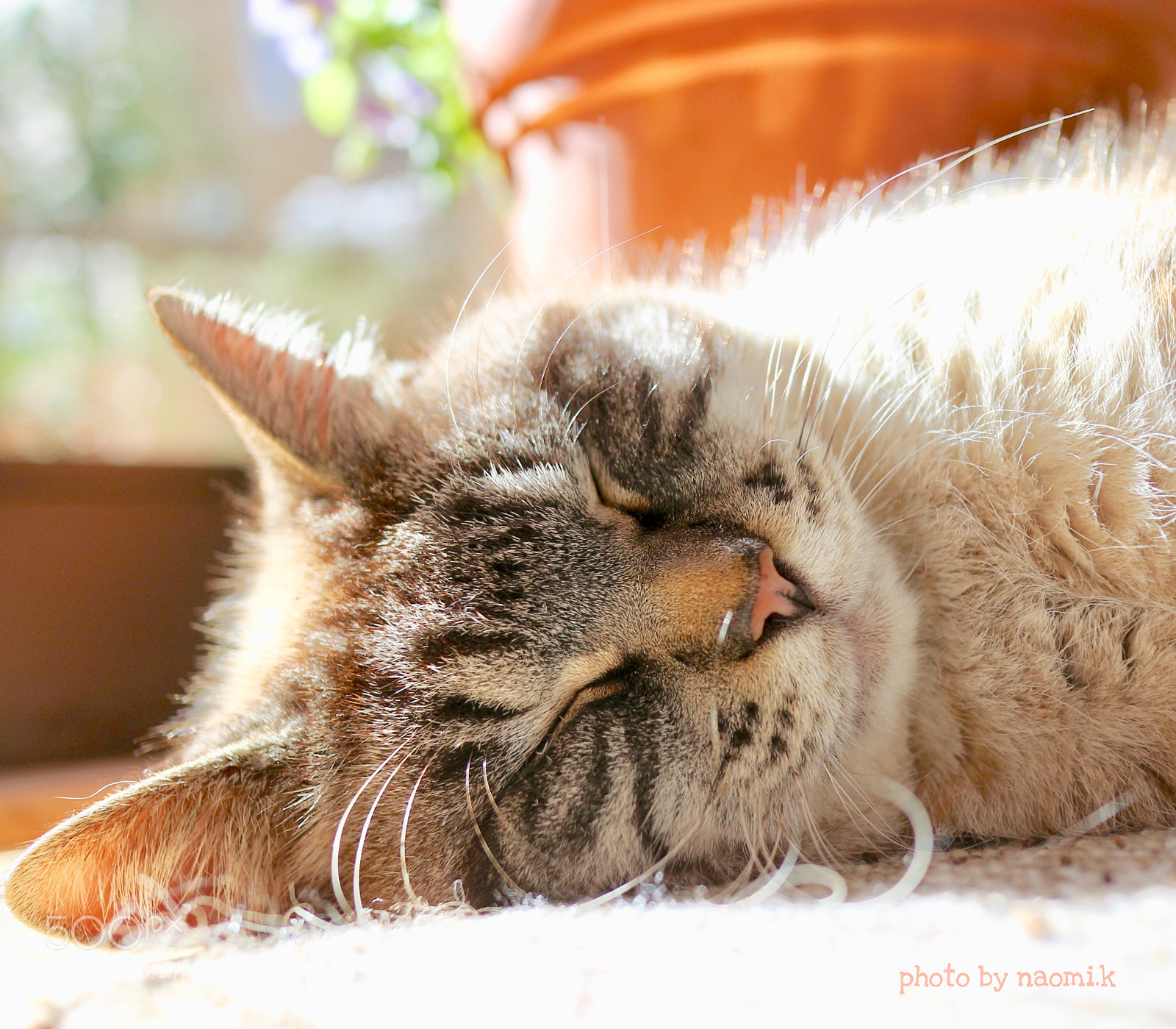 Canon EOS M10 sample photo. Siesta photography