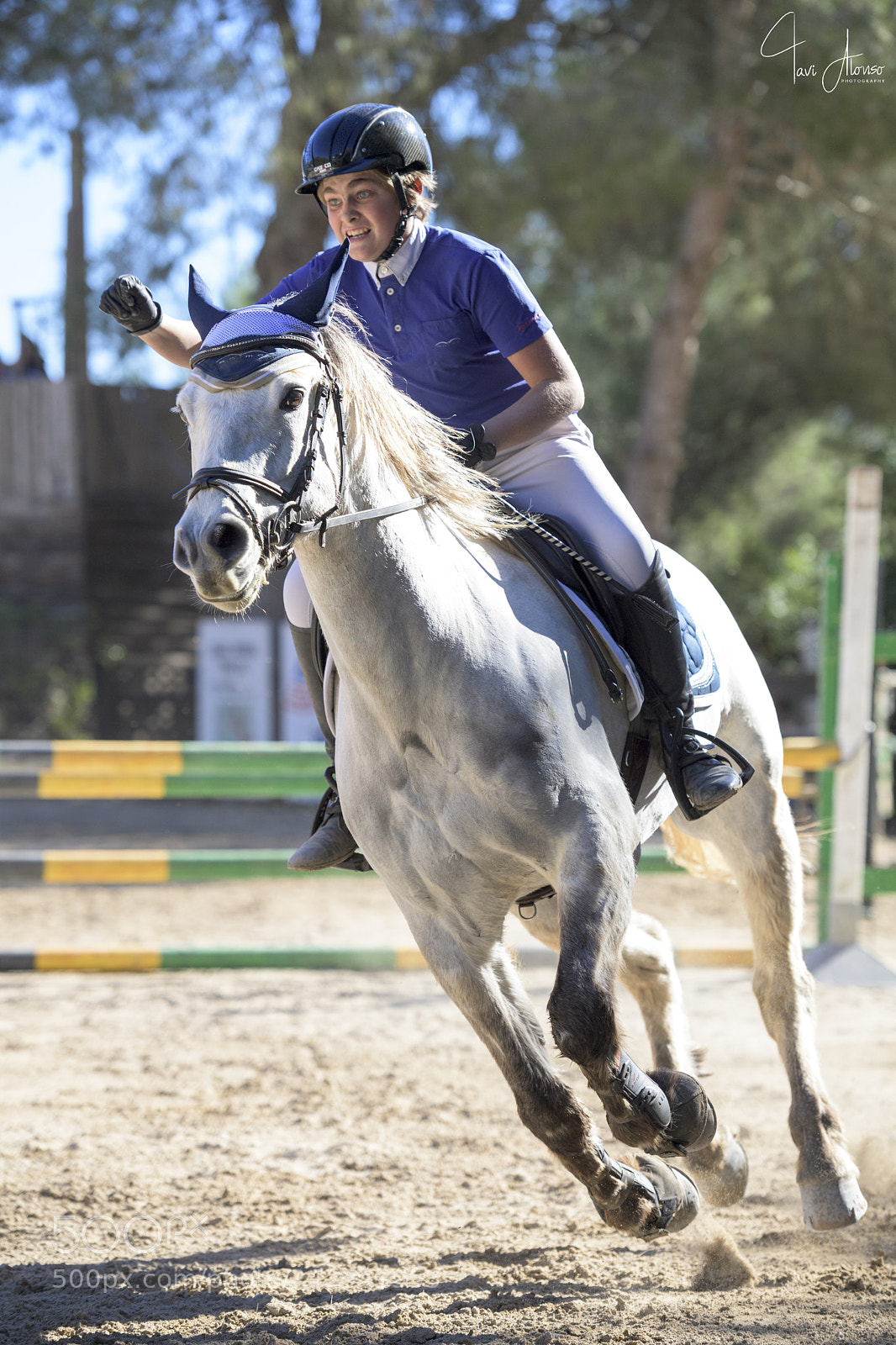 Nikon D5 sample photo. Birth of a horseman!!! photography