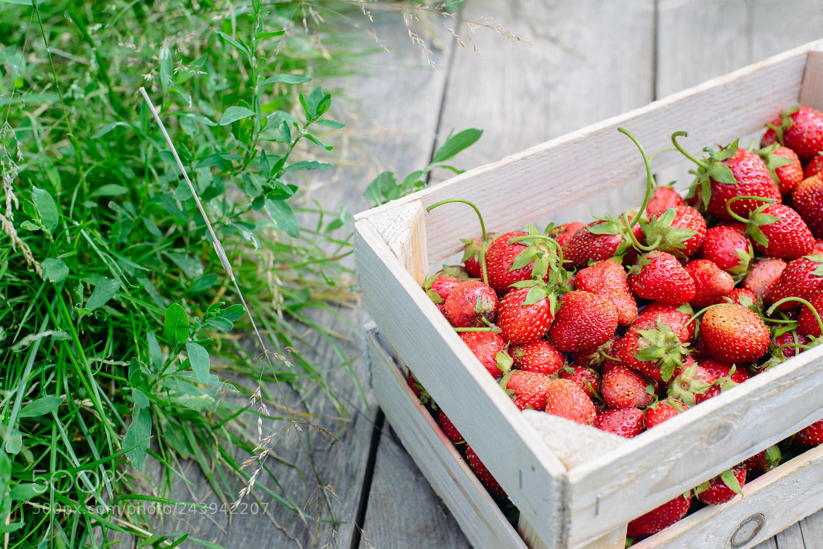 Nikon D600 sample photo. Strawberry in a box photography