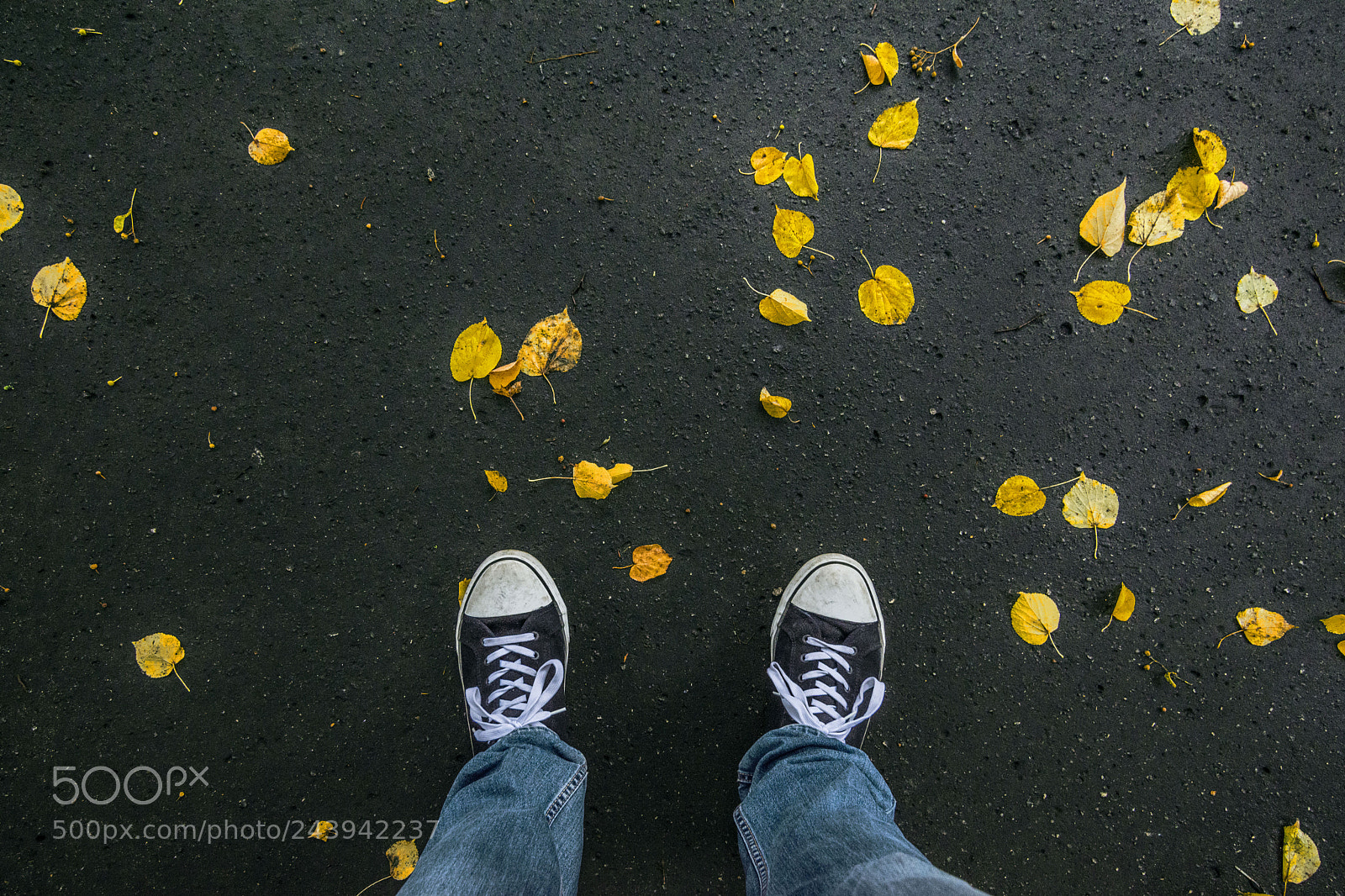 Nikon D7200 sample photo. Here we fall photography