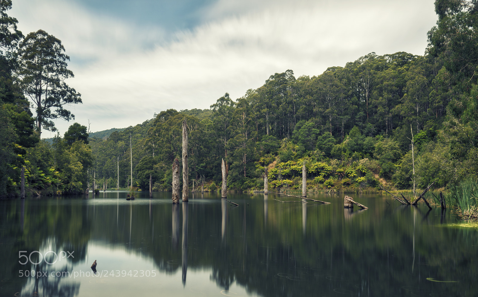 Canon EOS 5DS sample photo. Lake elizabeth photography