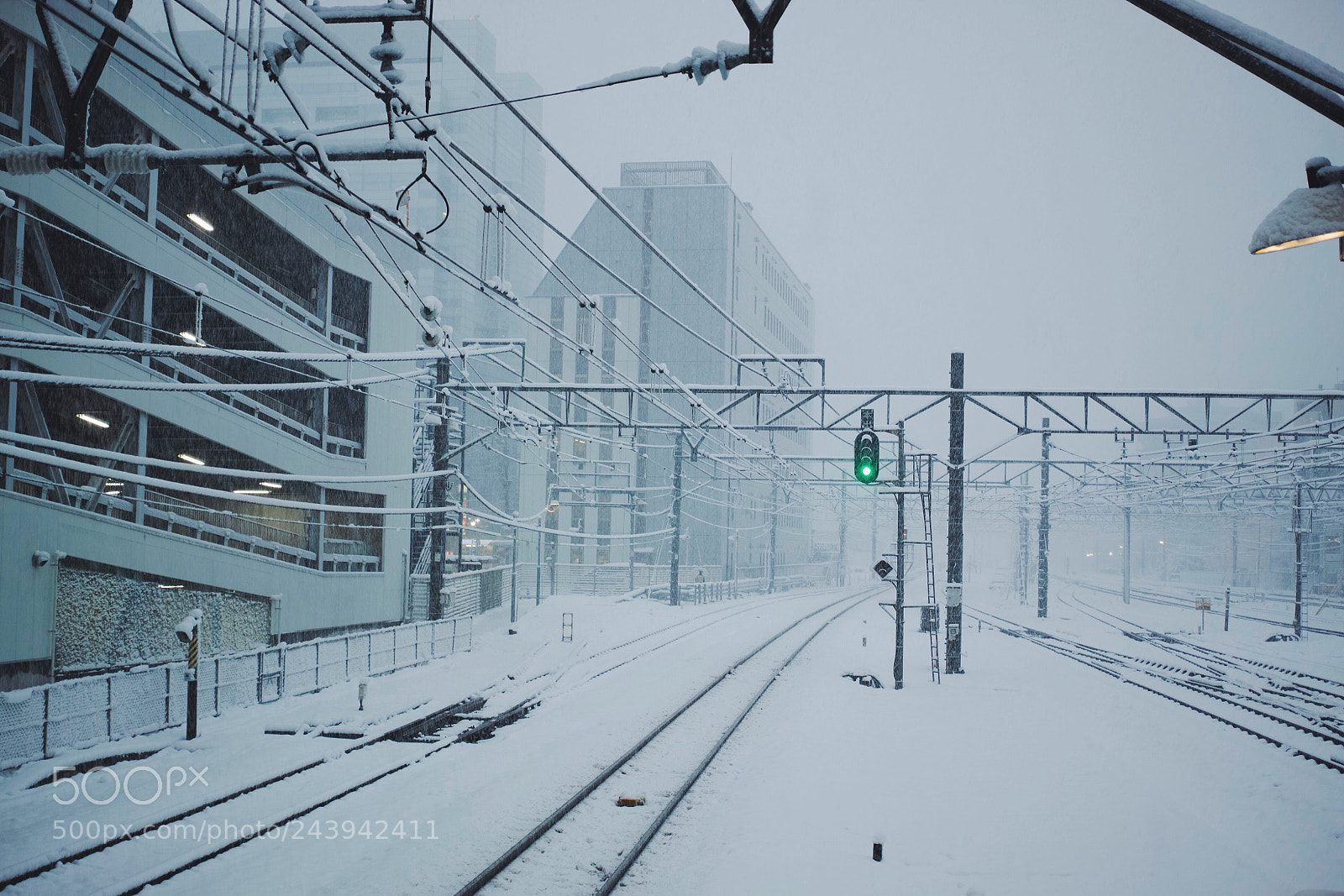 Sigma dp2 Quattro sample photo. Snow world photography