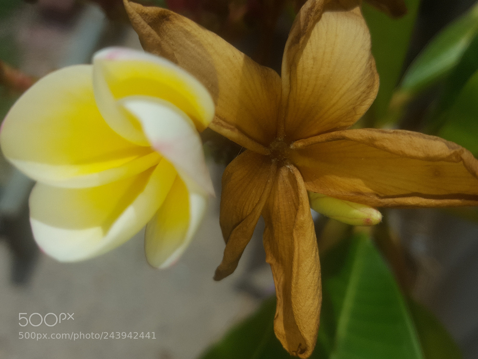 Samsung Galaxy S6 sample photo. New and old photography