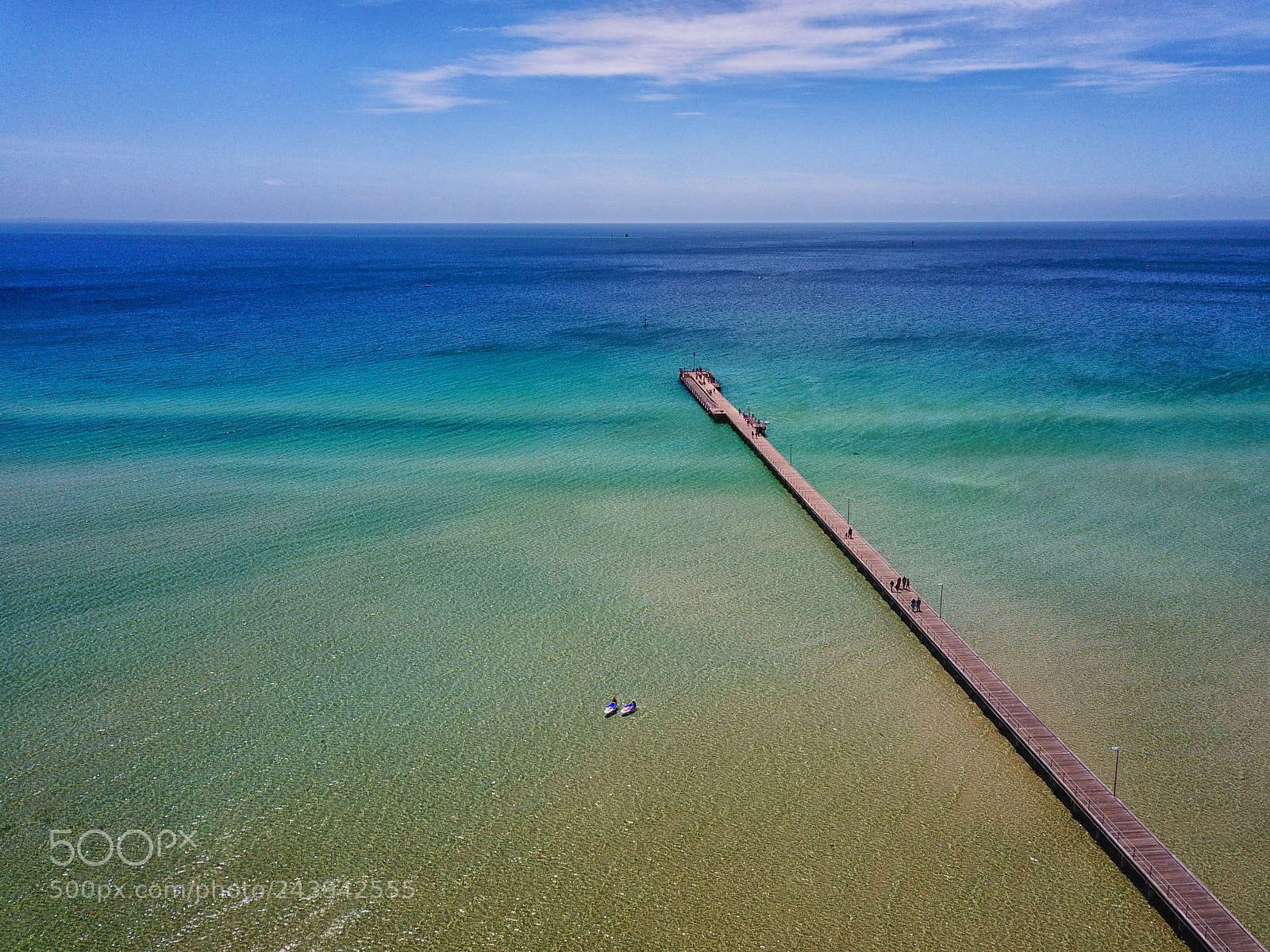DJI FC220 sample photo. The rose of my photography
