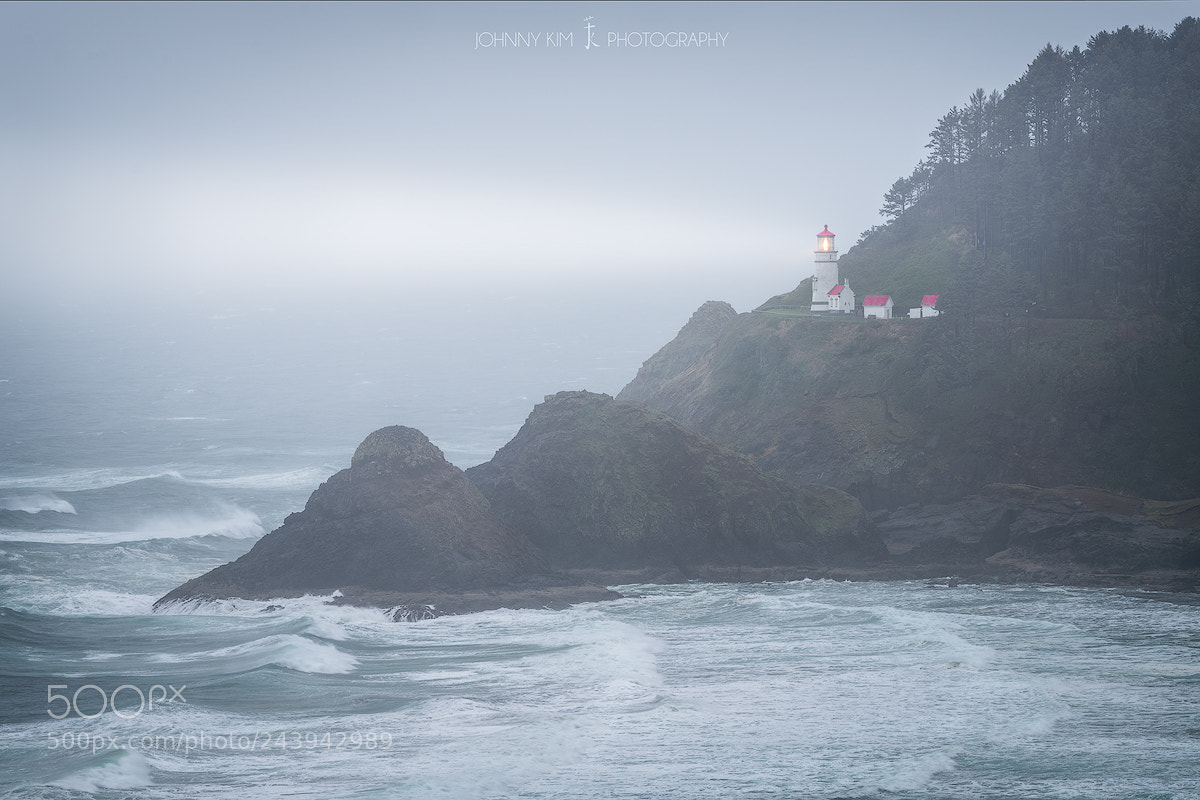 Nikon D810 sample photo. Looking out for you photography