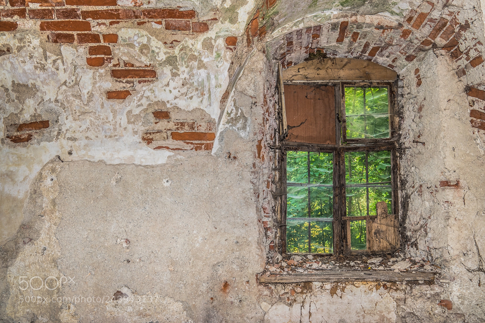 Sony a7 II sample photo. The window photography