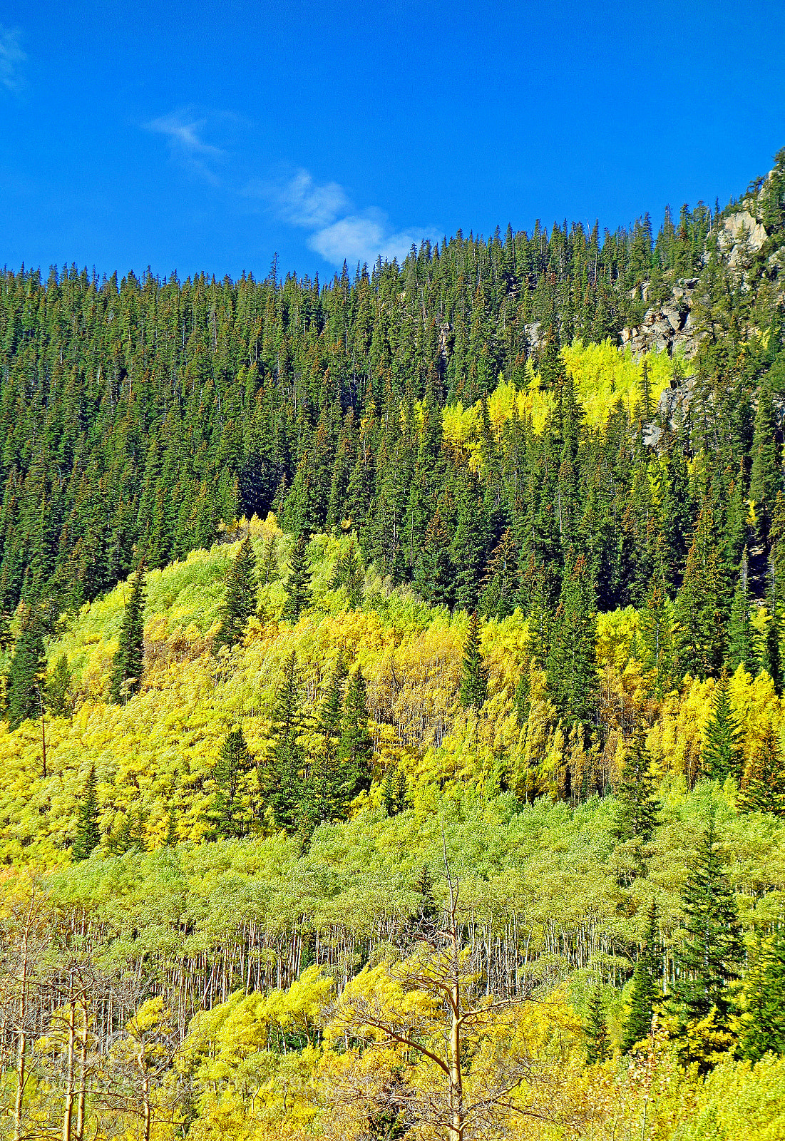 Sony Cyber-shot DSC-RX100 sample photo. Guanella pass study 2 photography