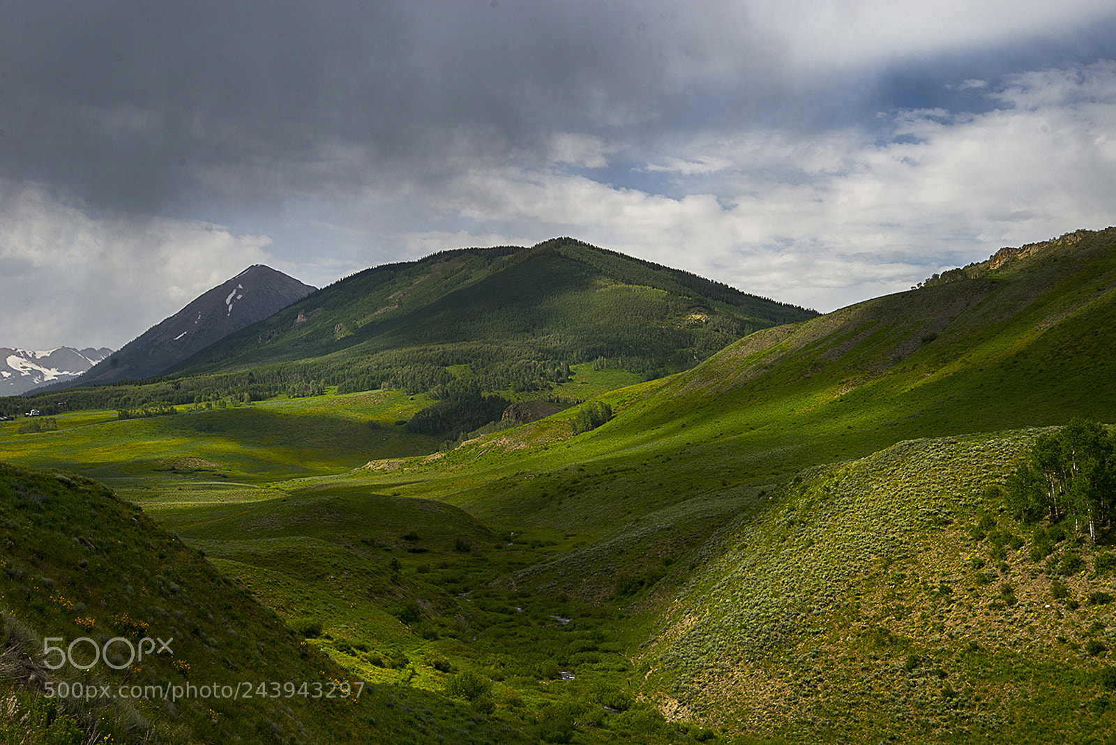 Nikon D610 sample photo. The green mountains of photography