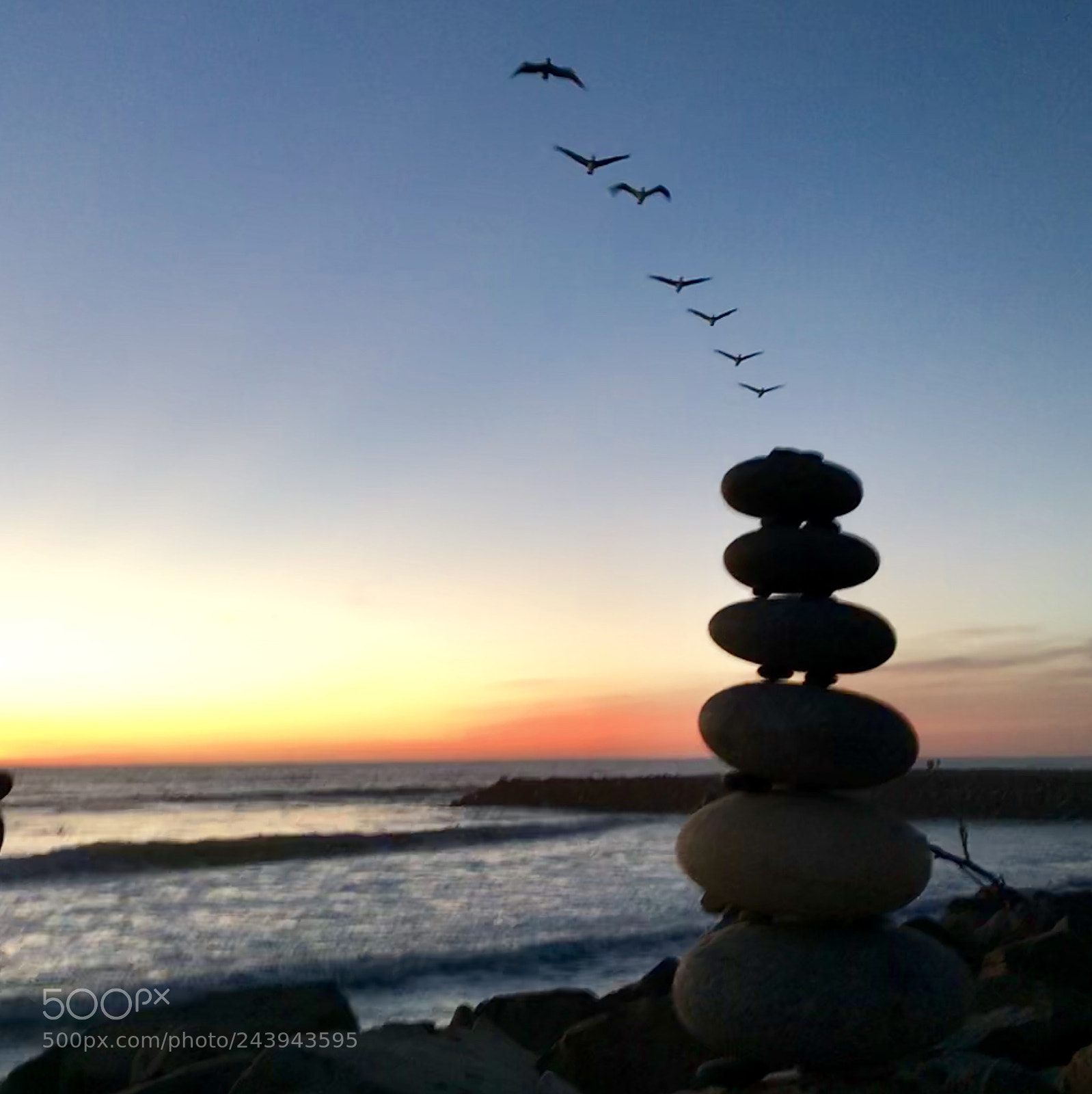 Apple iPhone 7 sample photo. Bird formation over rock photography