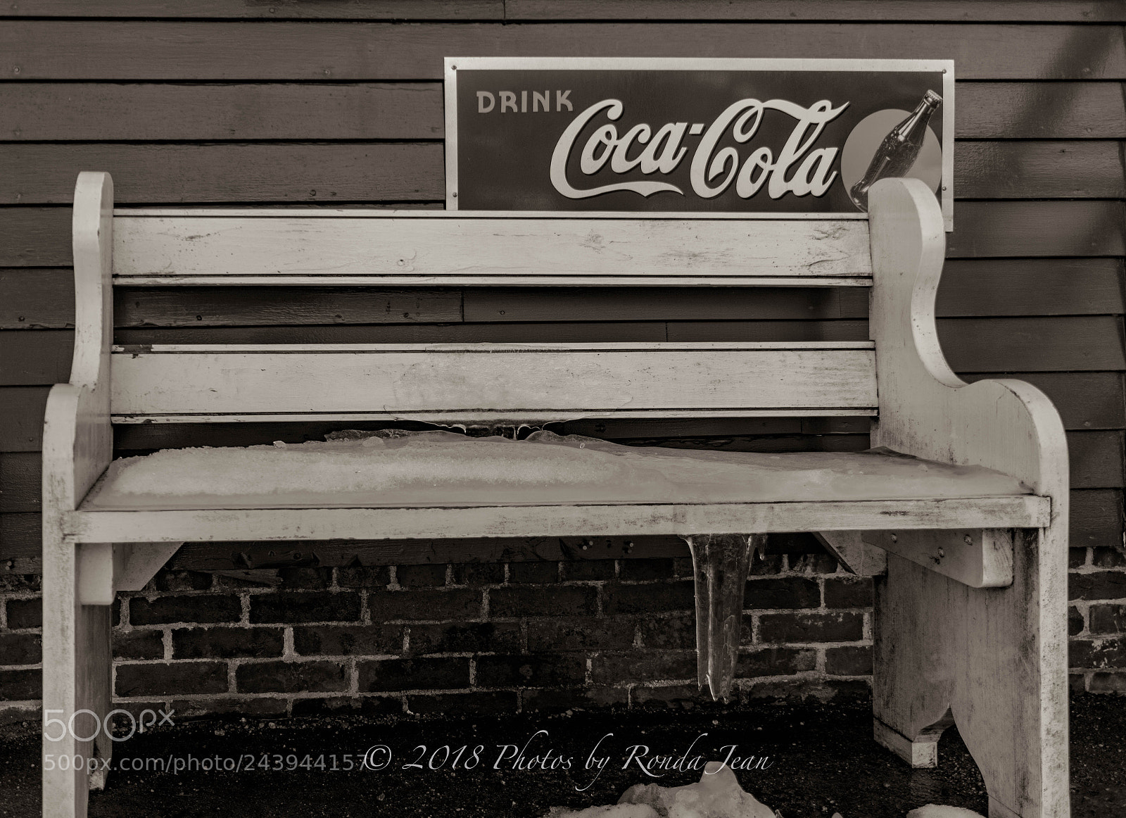 Nikon D500 sample photo. Untitled photography