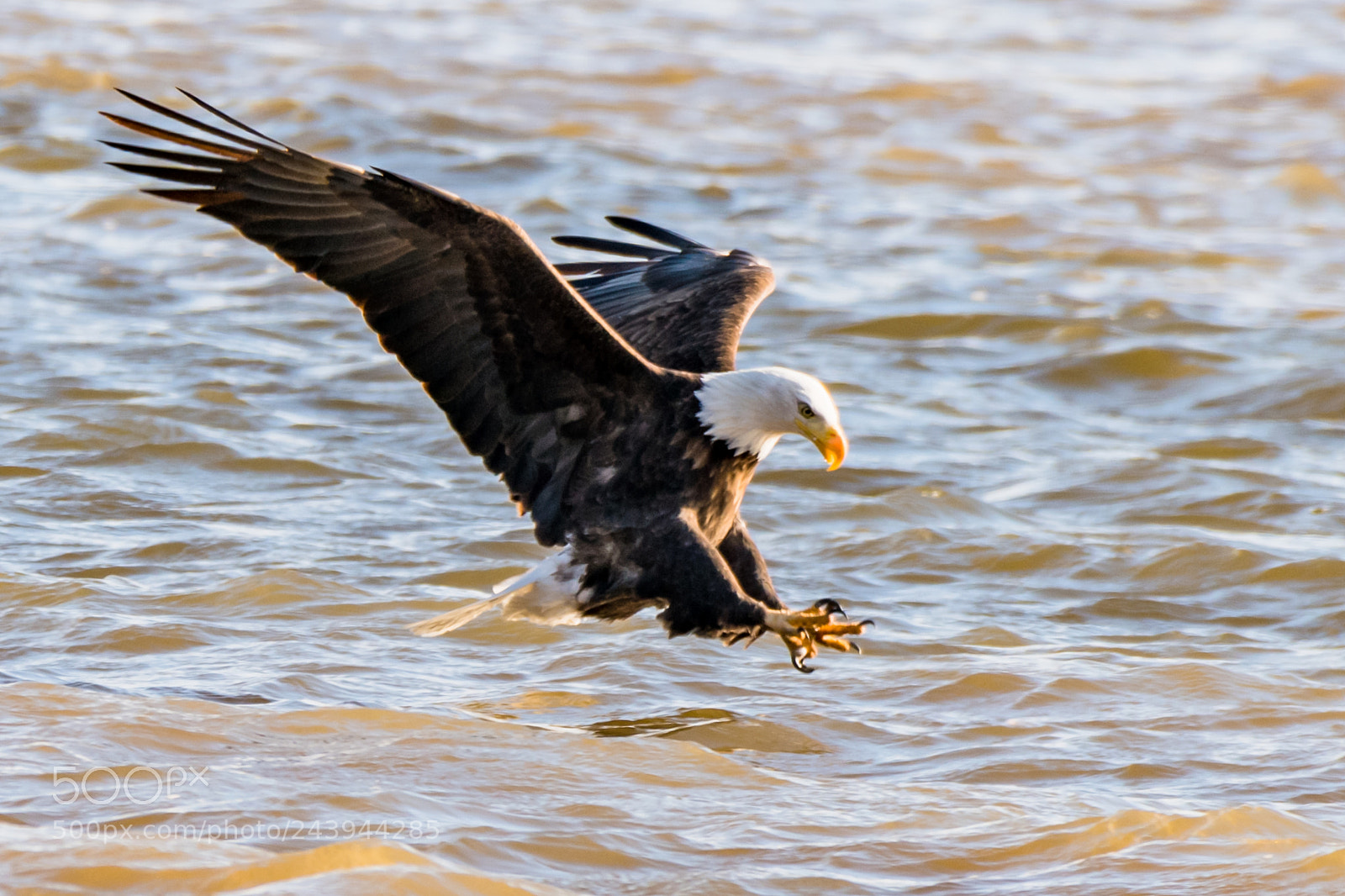 Nikon D850 sample photo. Fishing in mississippi river photography