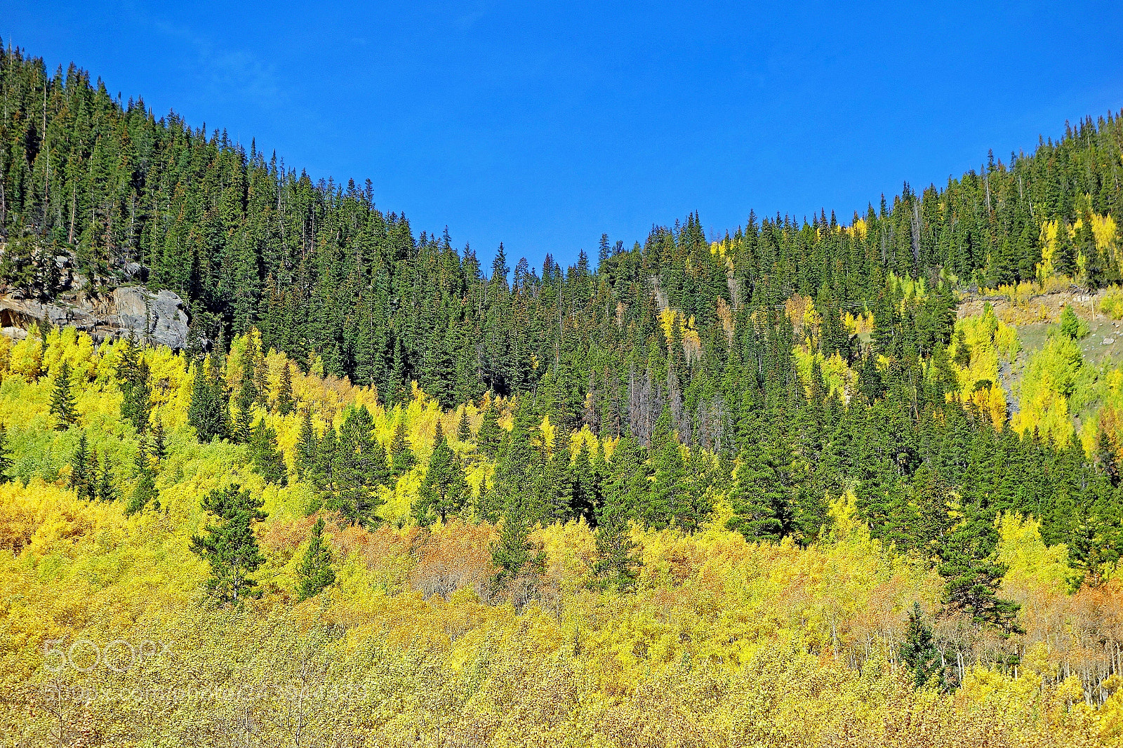 Sony Cyber-shot DSC-RX100 sample photo. Guanella pass study 1 photography