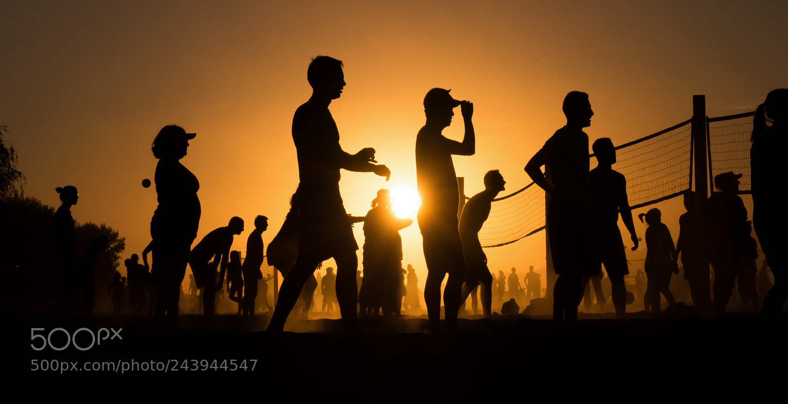 Nikon D800 sample photo. More volleyball summer photography