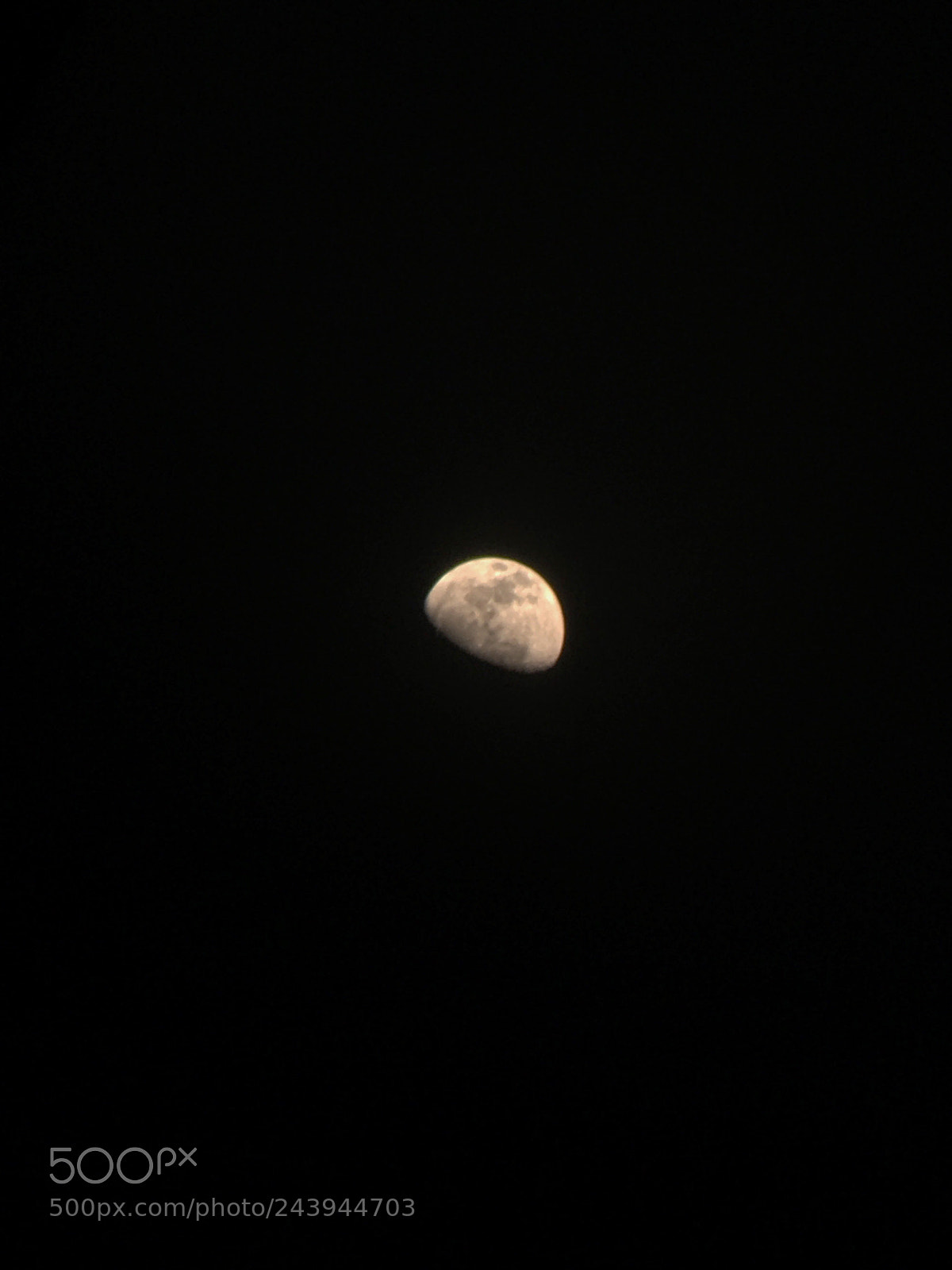 Apple iPhone 6s Plus sample photo. Untitled photography