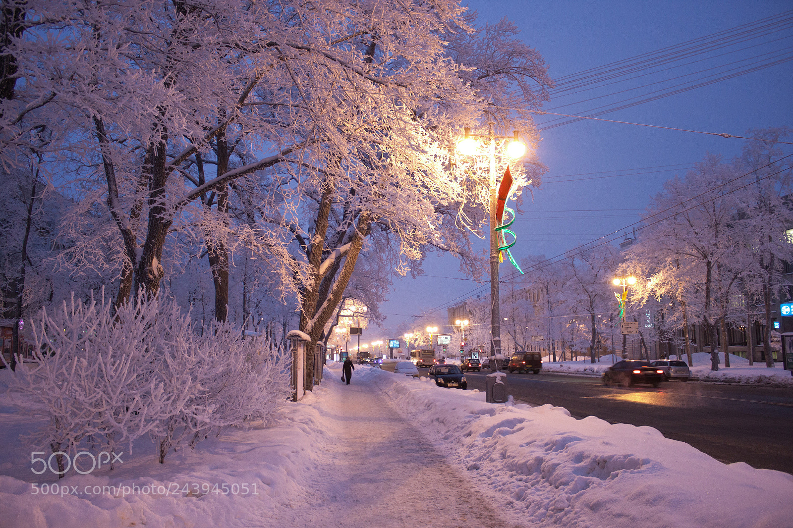 Canon EOS 500D (EOS Rebel T1i / EOS Kiss X3) sample photo. Festive and elegant winter photography