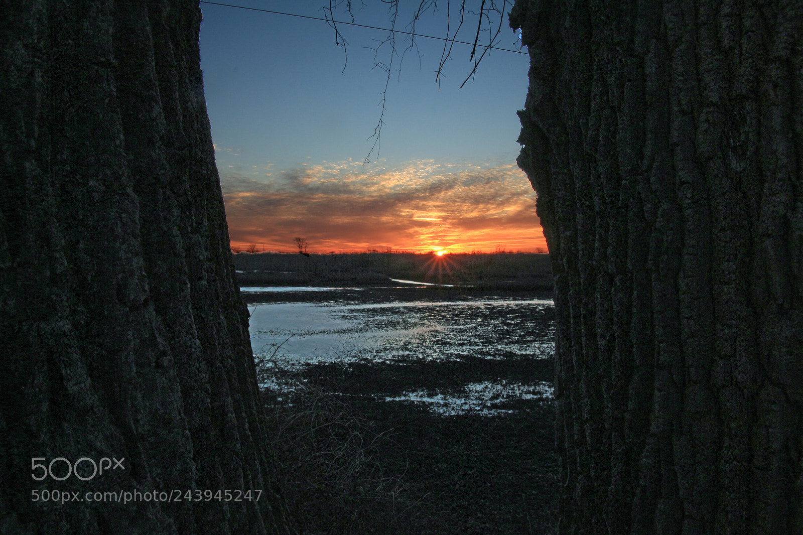 Canon EOS 700D (EOS Rebel T5i / EOS Kiss X7i) sample photo. Sunrise over wetlands photography