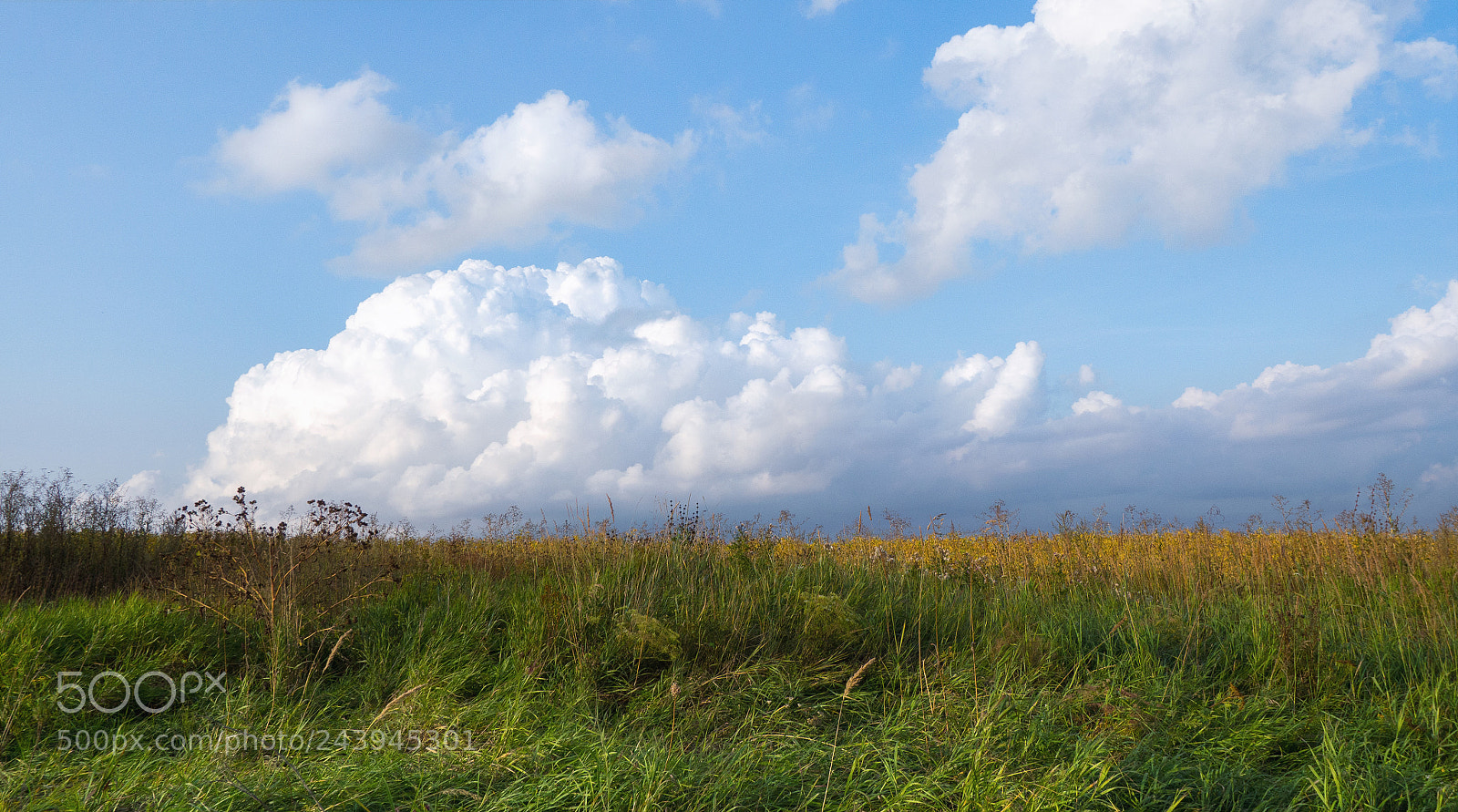 Olympus OM-D E-M10 sample photo. ... photography