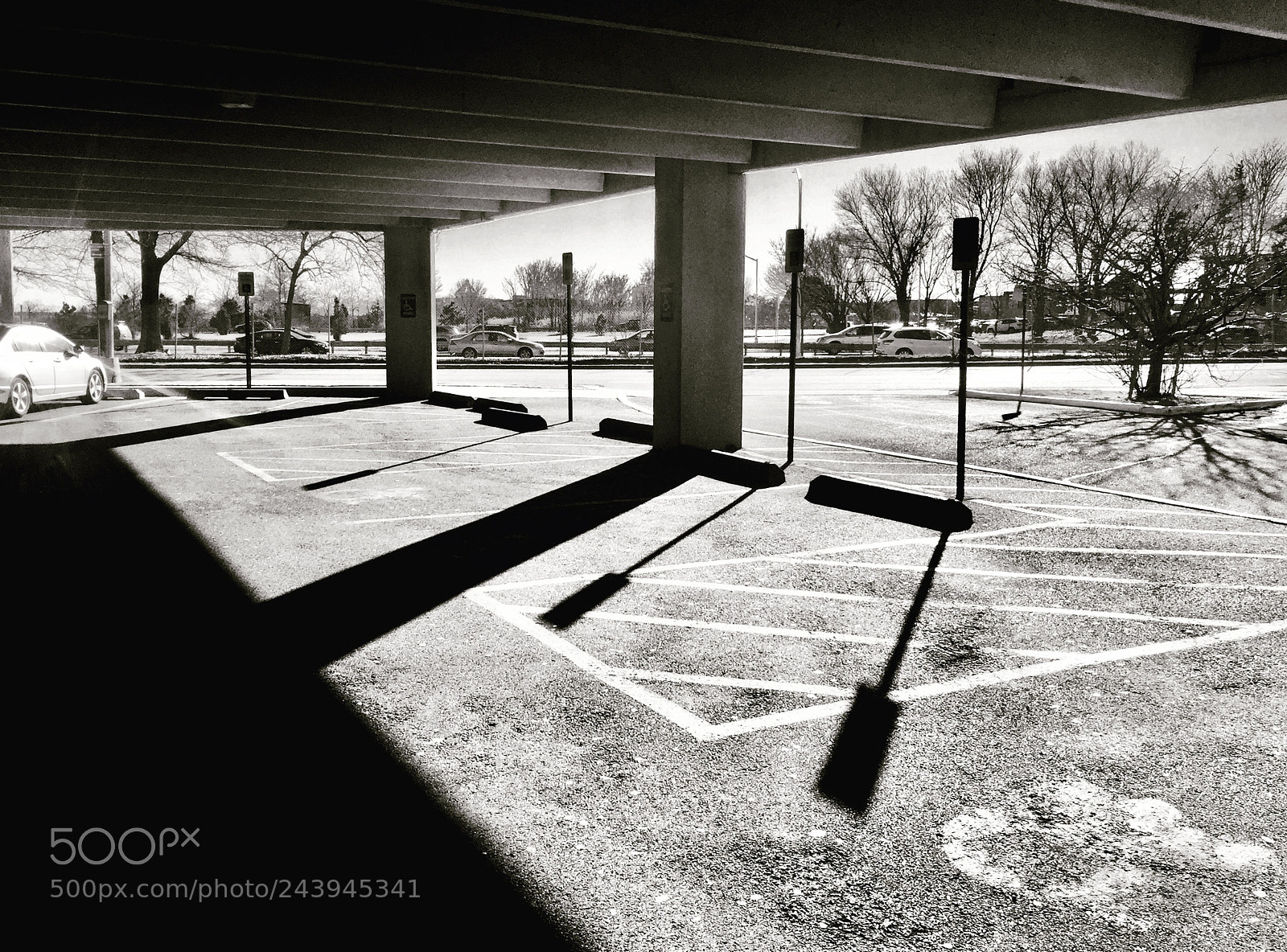 Apple iPhone 6 Plus sample photo. “black and white vista” photography
