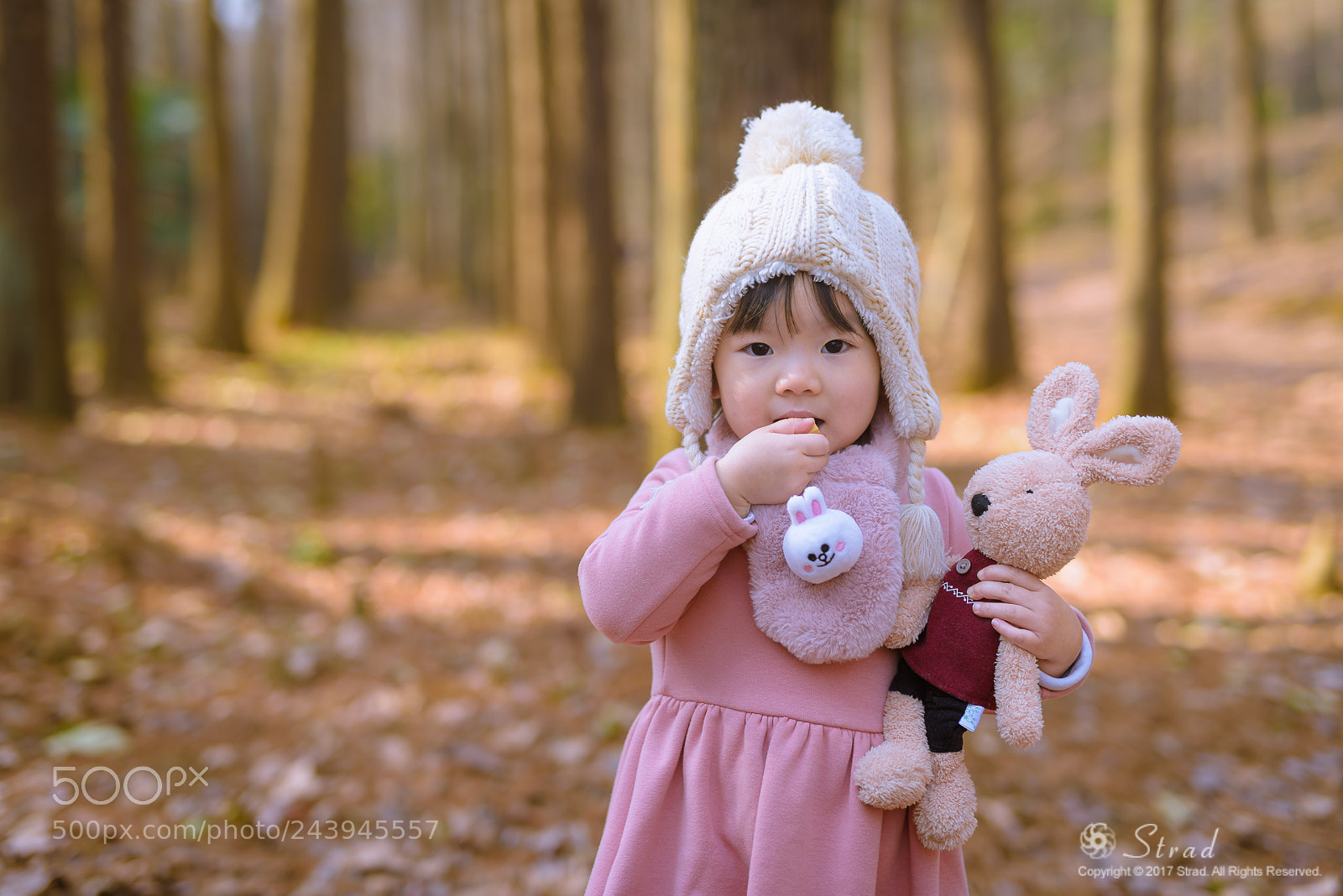 Nikon D810 sample photo. Cutie photography