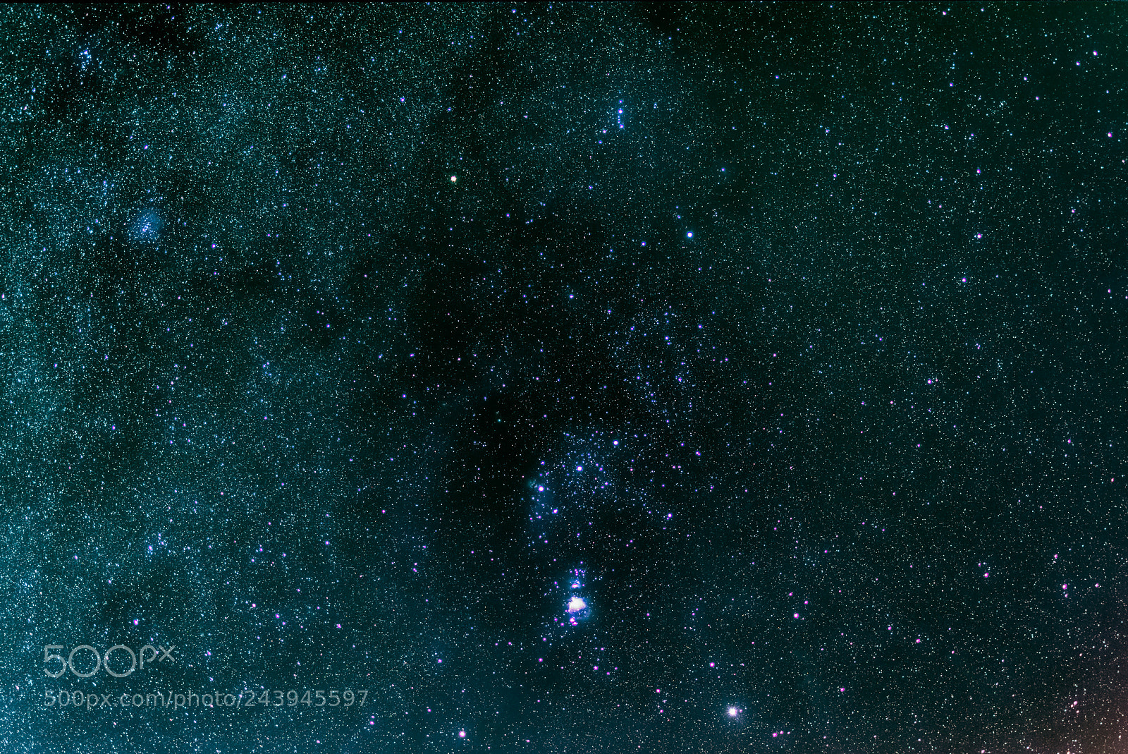 Nikon D5500 sample photo. Orion constellation photography